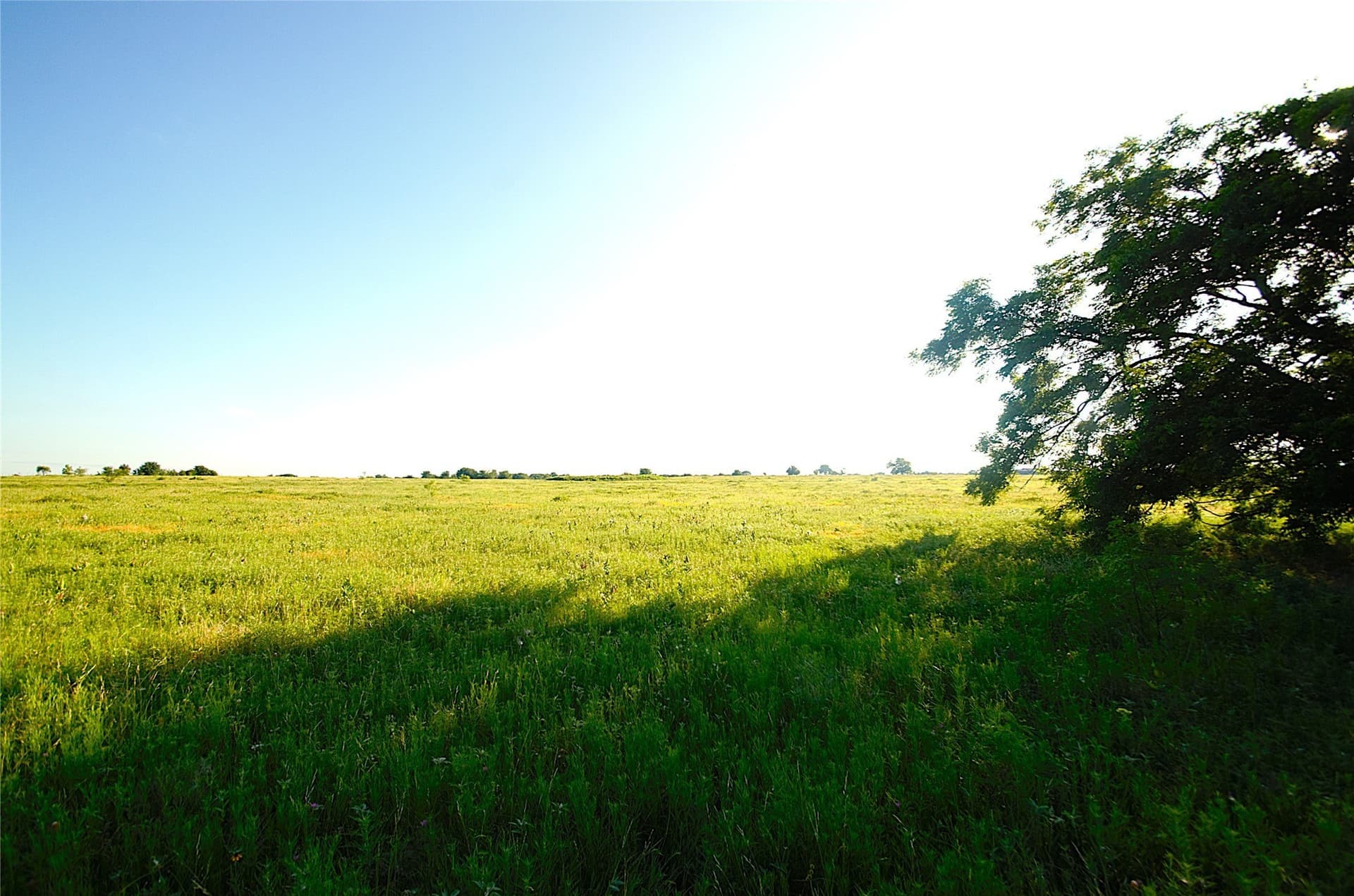 35.51 acres in Grayson County - photo 6