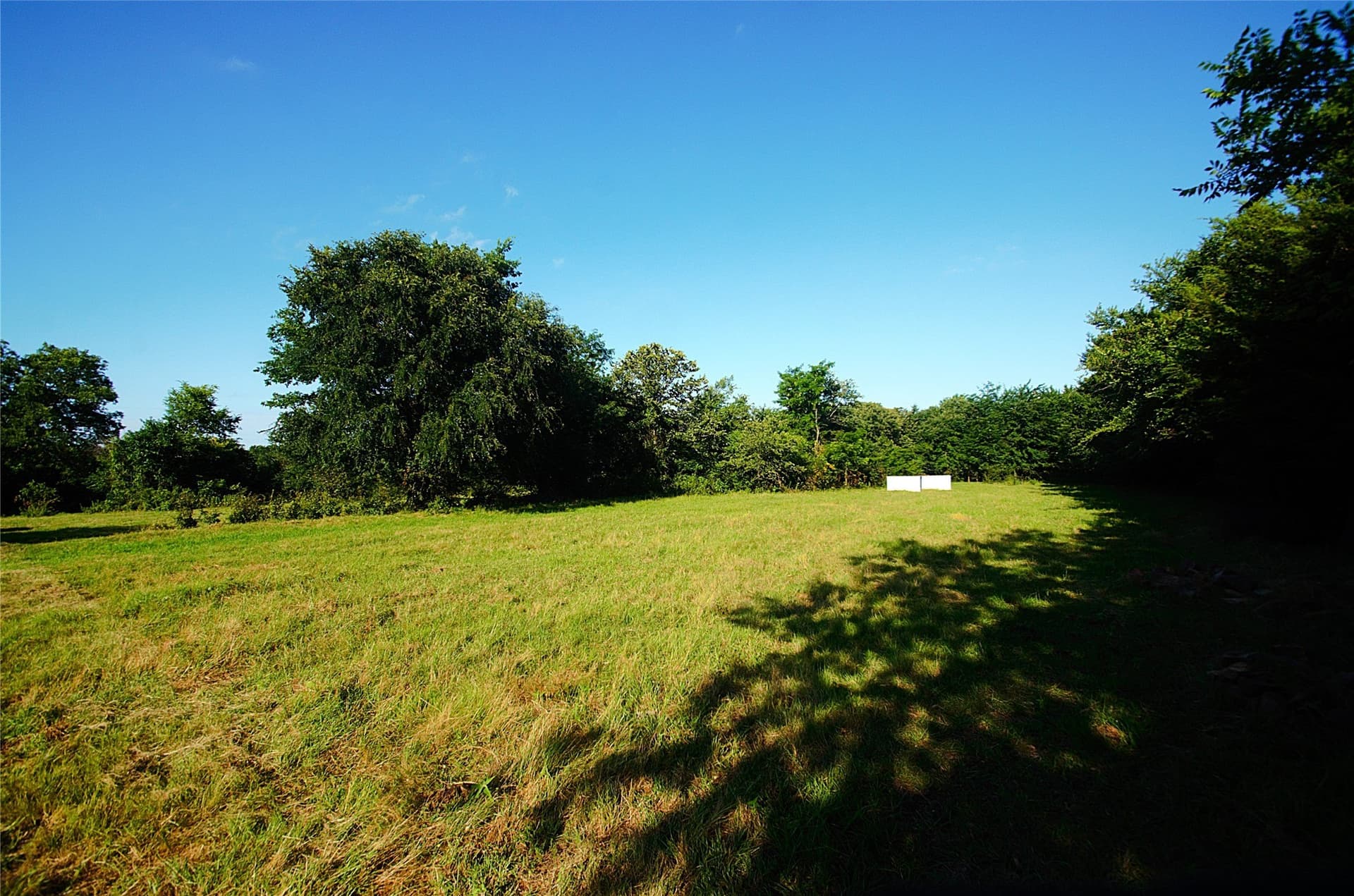 35.51 acres in Grayson County - photo 16