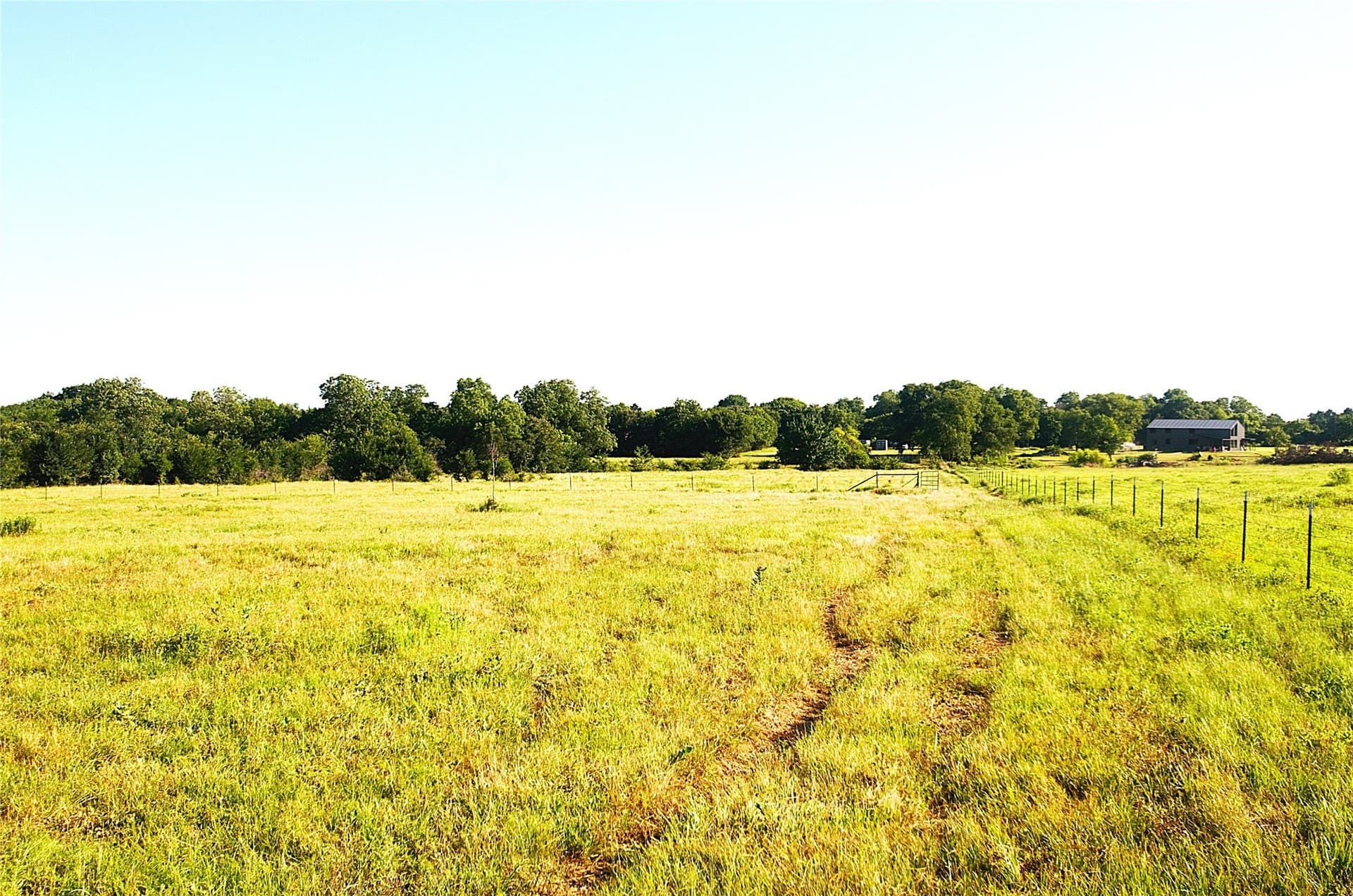 35.51 acres in Grayson County - photo 12
