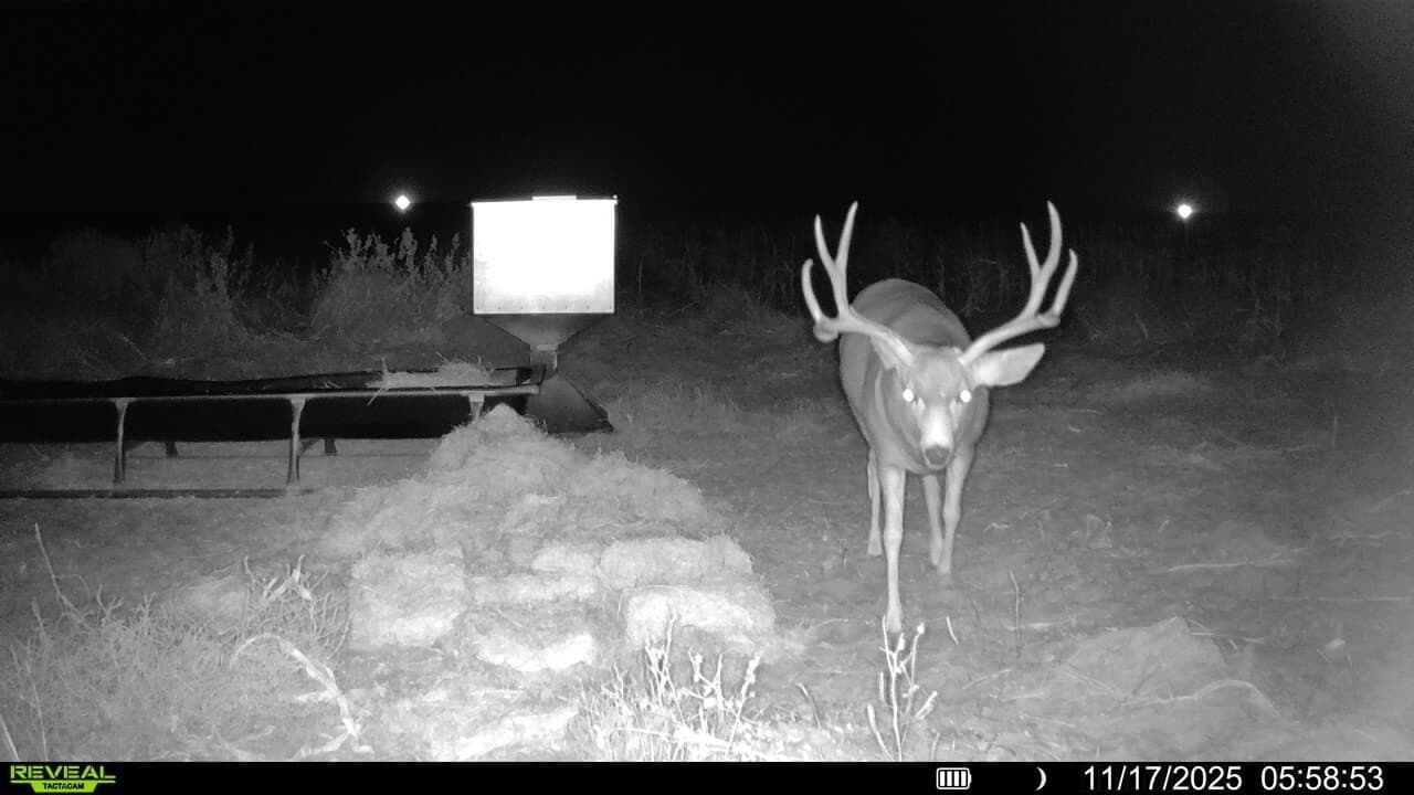 1,300 acres in Cochran County gallery image 3