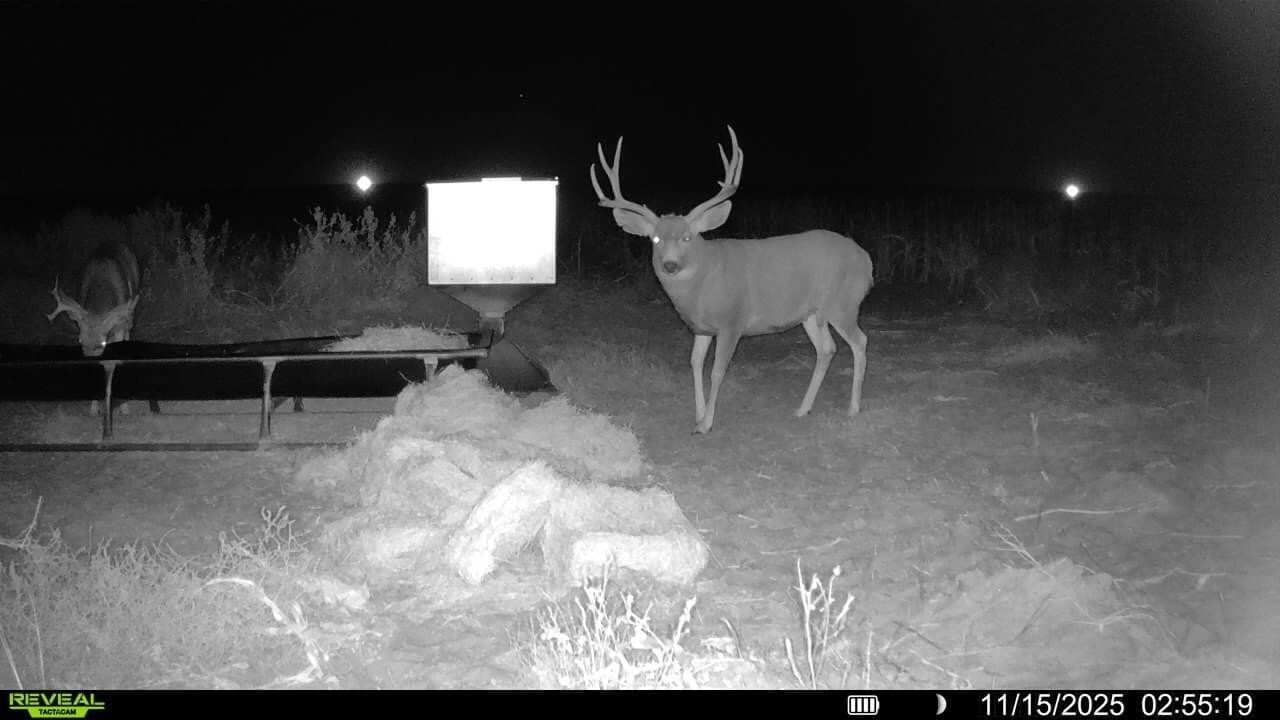 1,300 acres in Cochran County gallery image 4