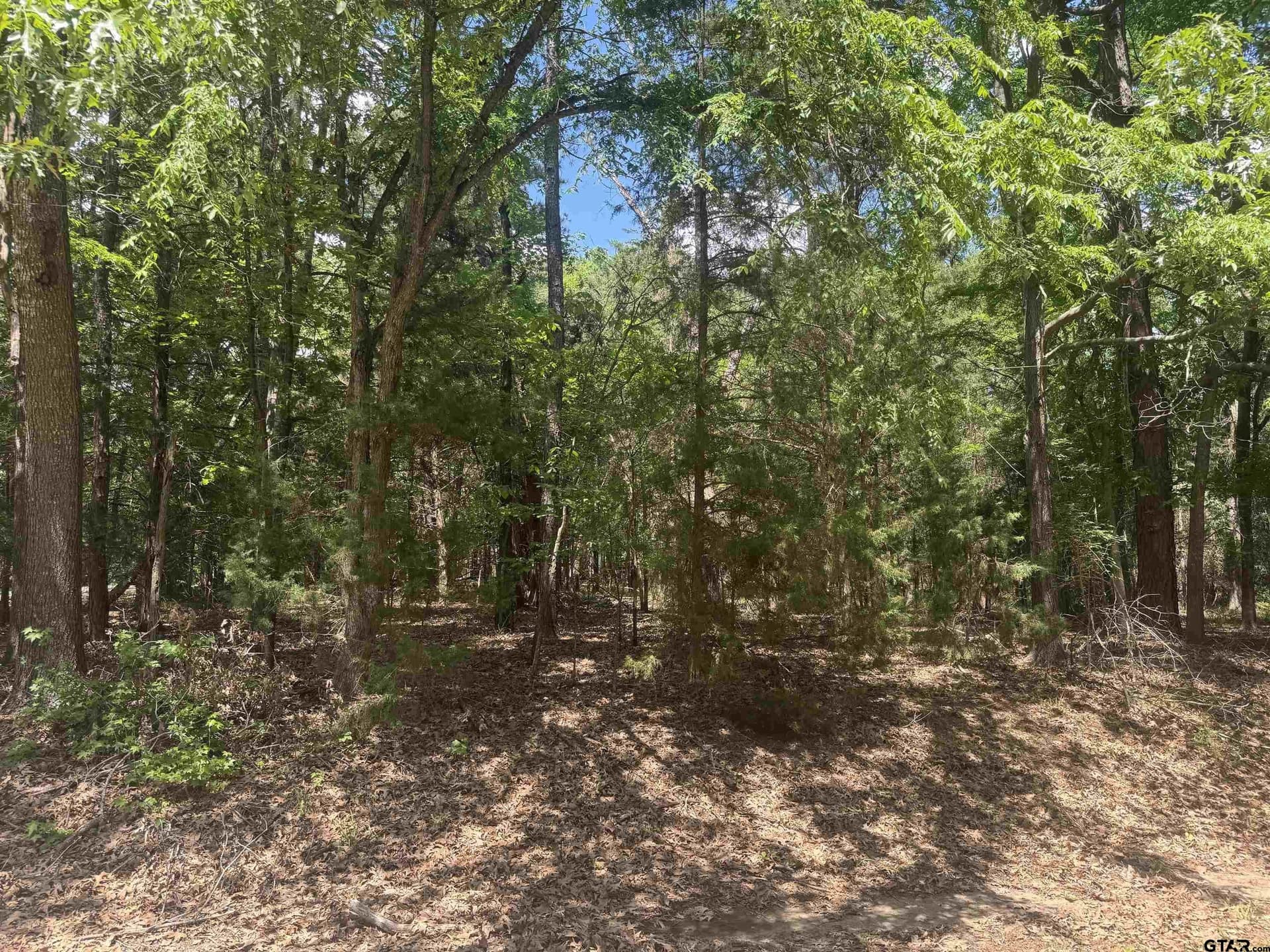 0.5 acres in Franklin County - photo 8