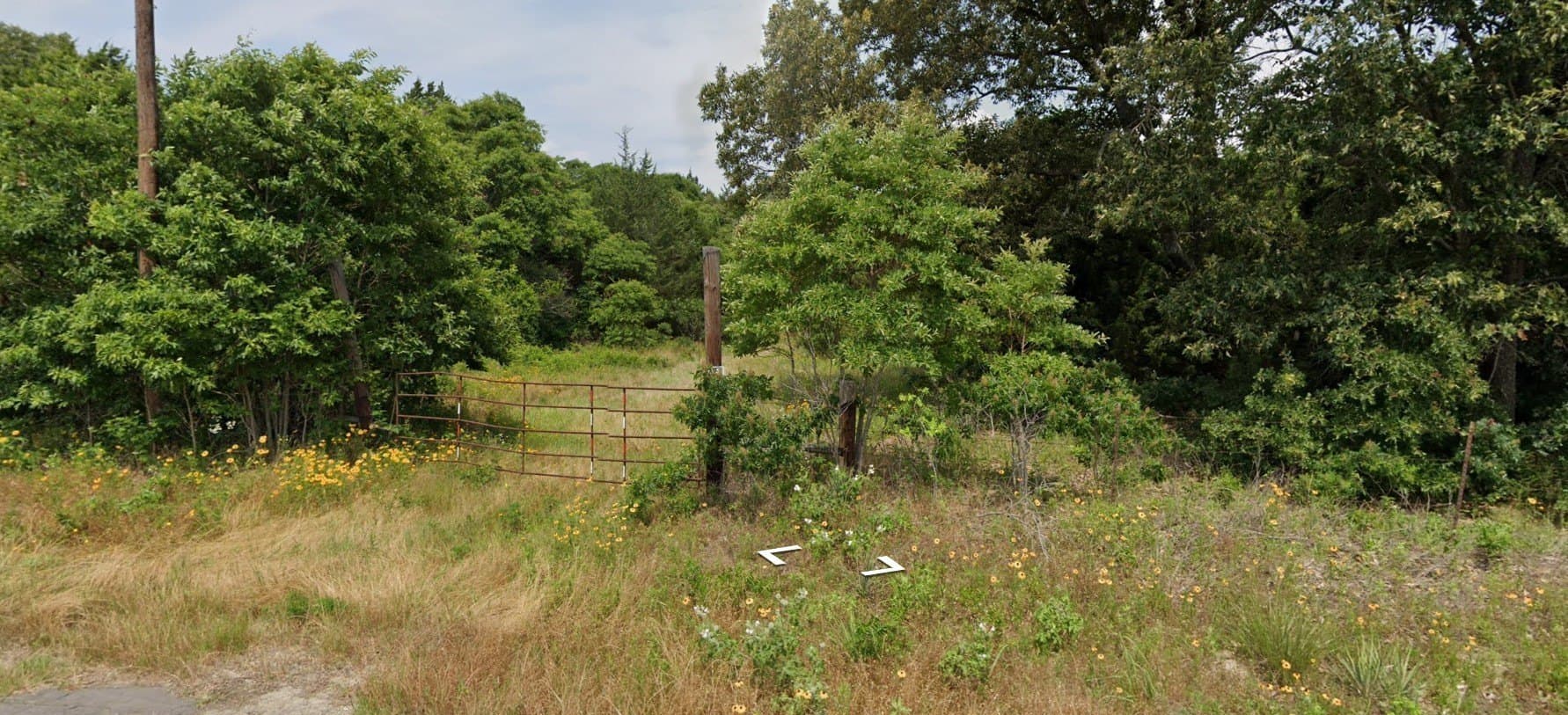 80 acres in Van Zandt County gallery image 2