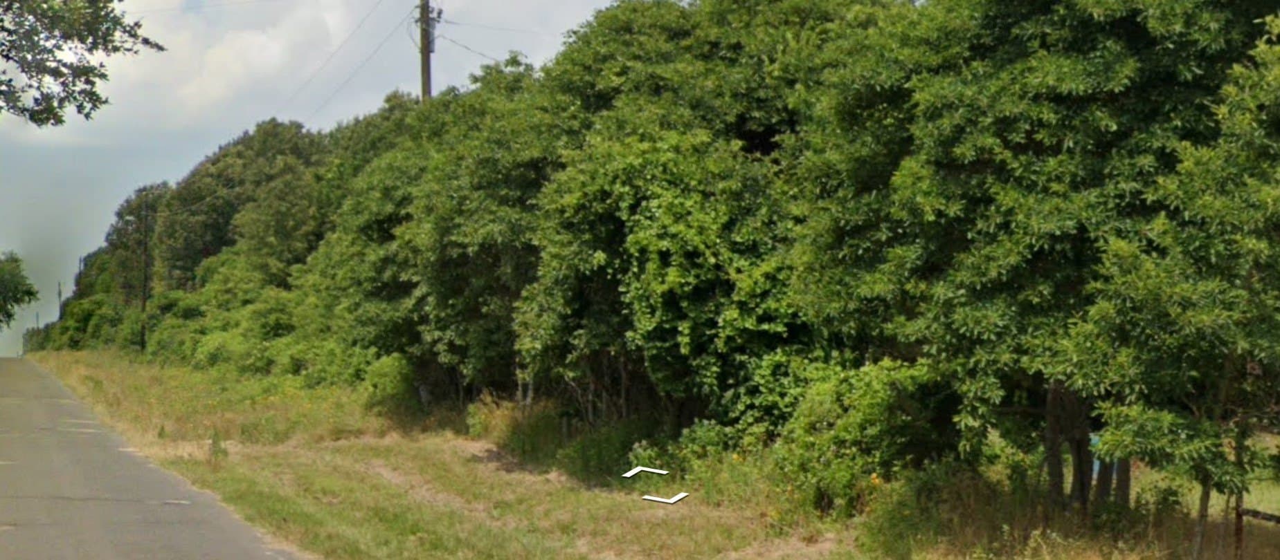 80 acres in Van Zandt County gallery image 4