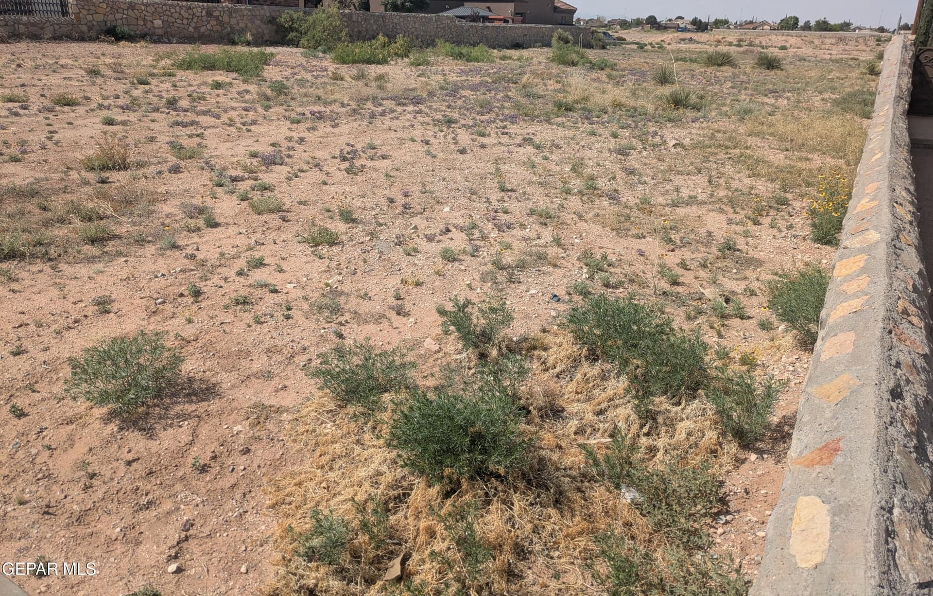 0.25 acres in El Paso County featured view