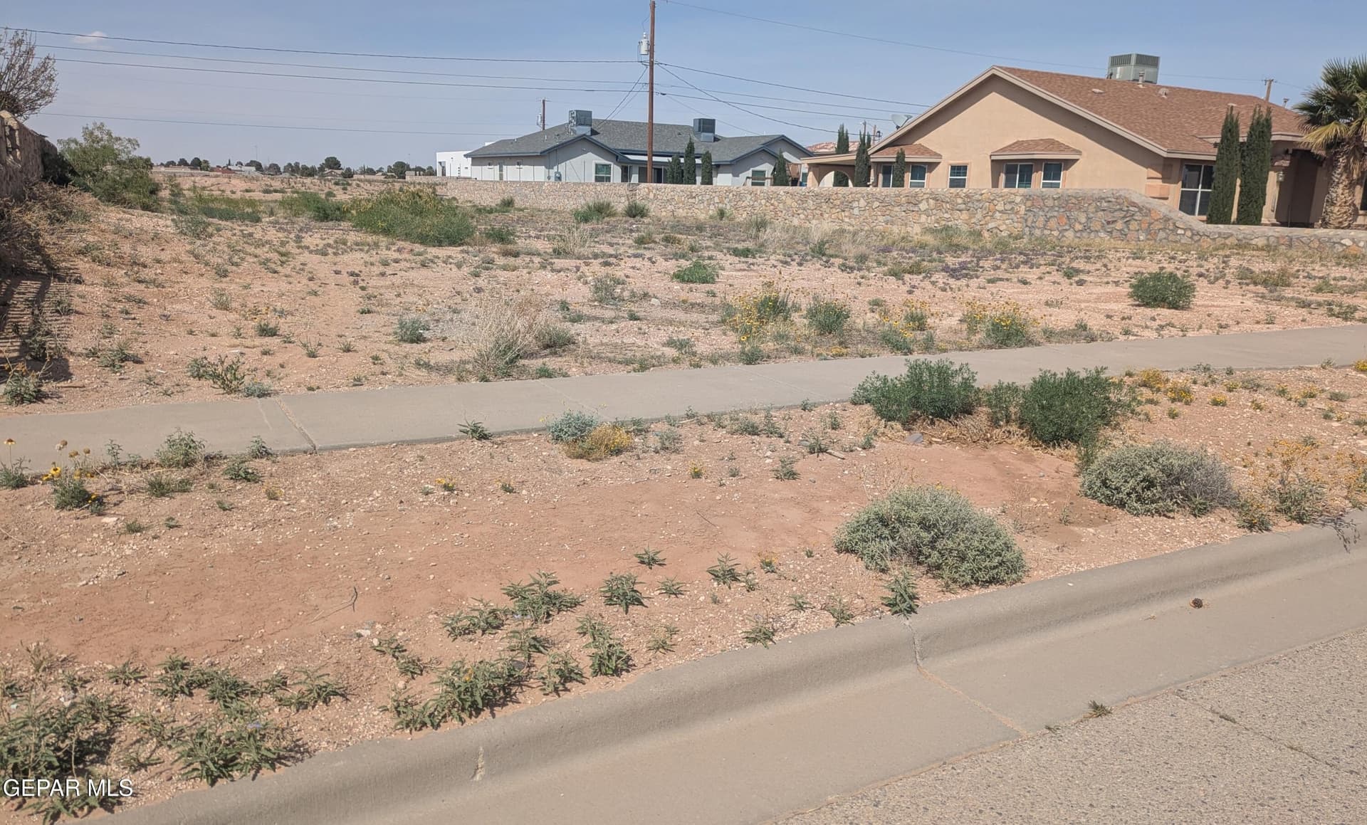 0.25 acres in El Paso County gallery image 3