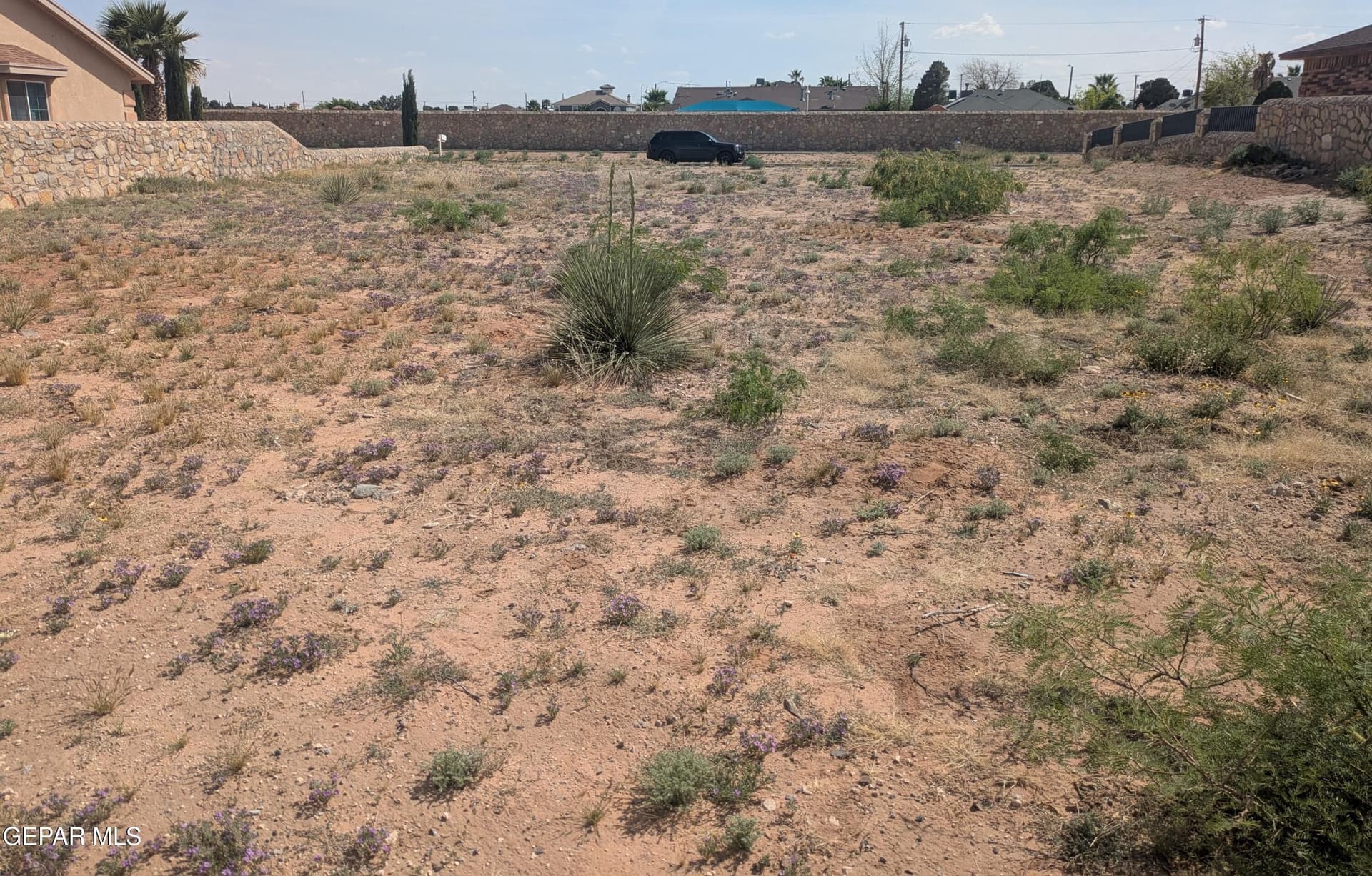 0.25 acres in El Paso County gallery image 4