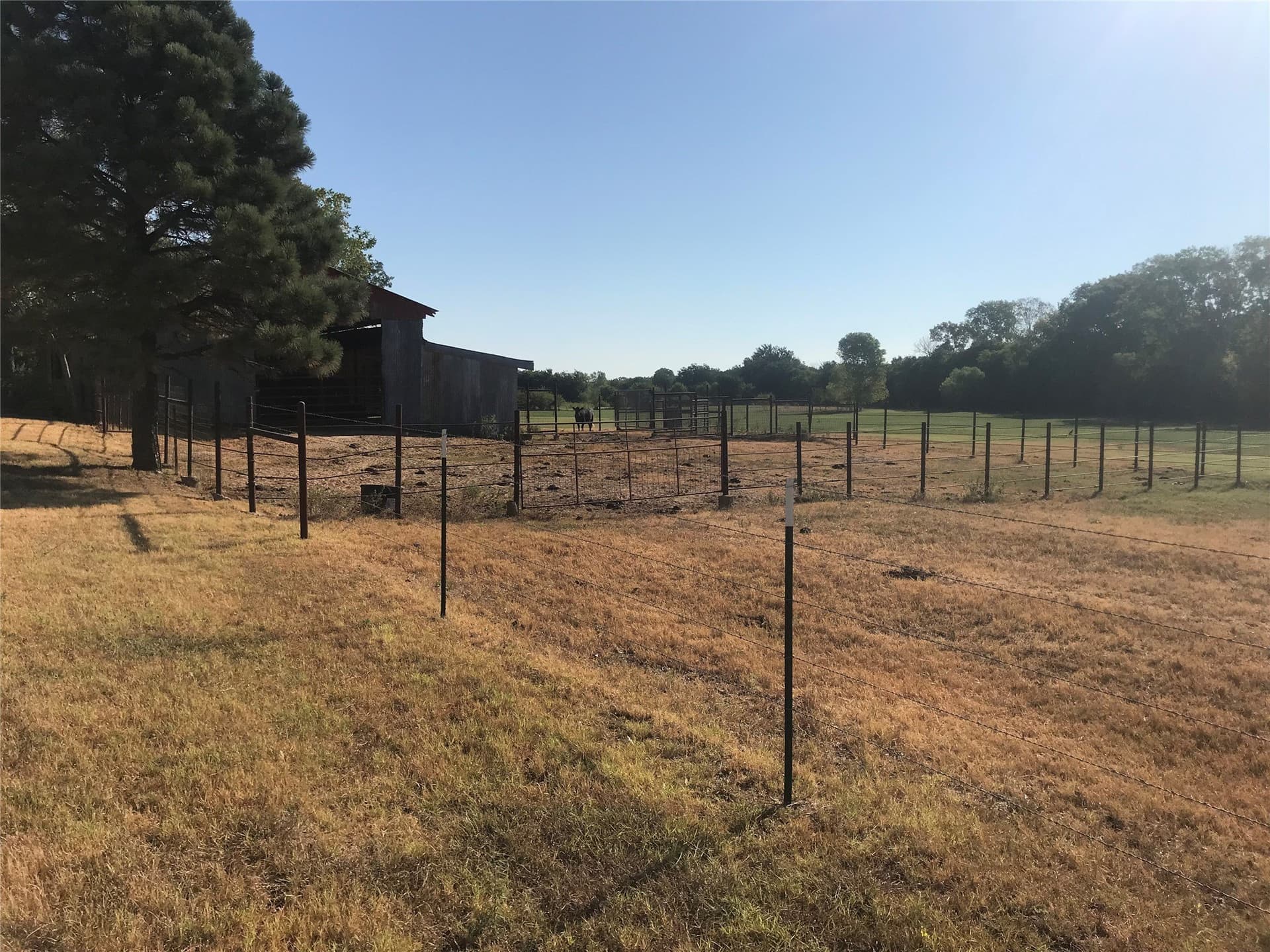 15.79 acres in Comanche County - photo 29