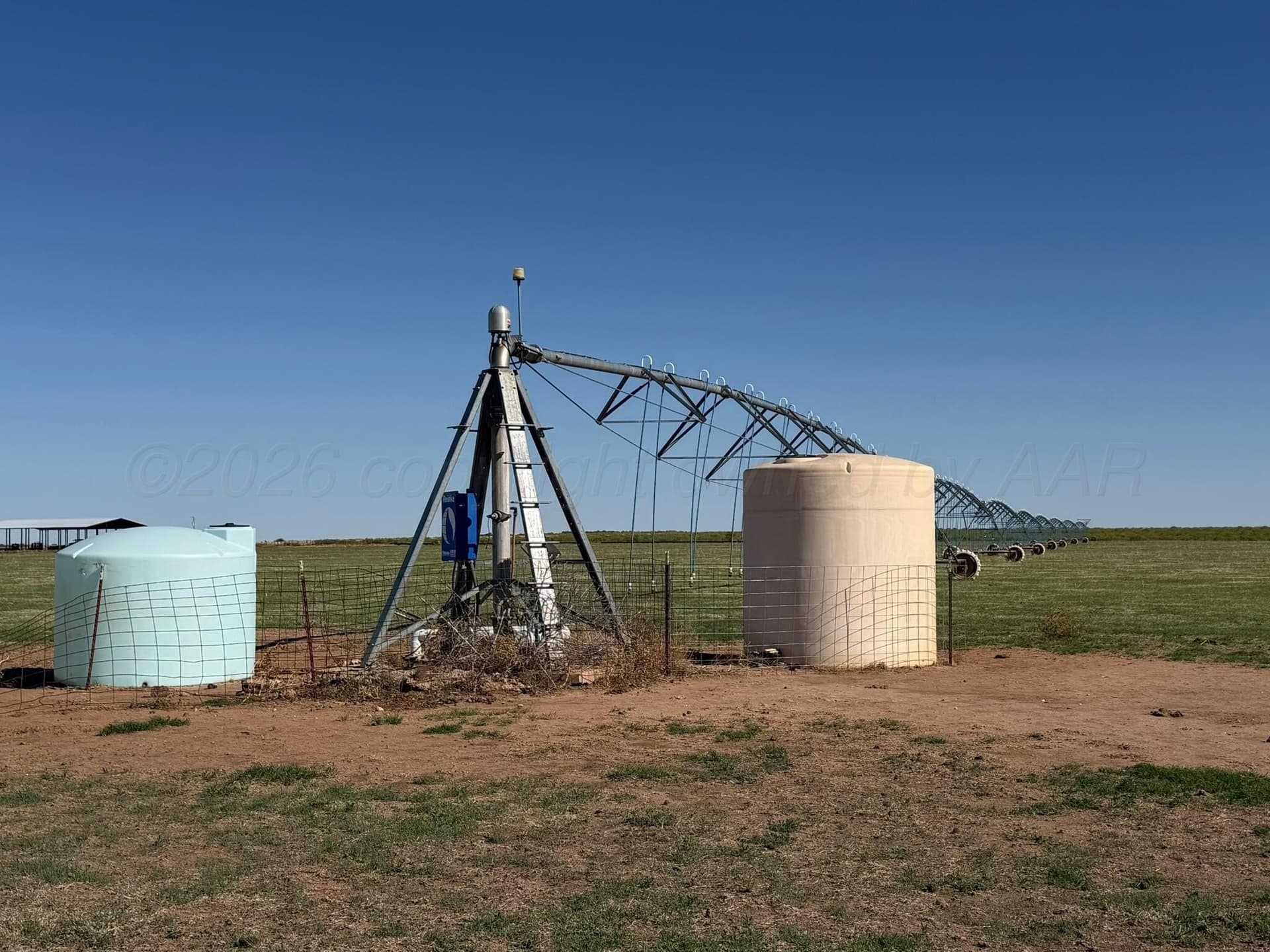 541.5 acres in Cottle County gallery image 2