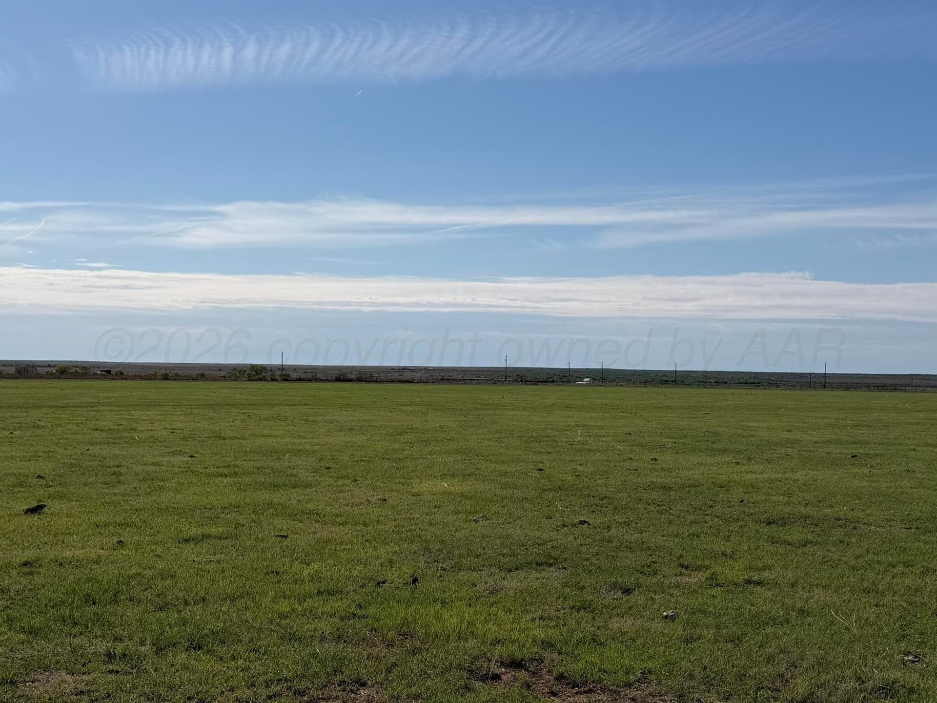 541.5 acres in Cottle County gallery image 3