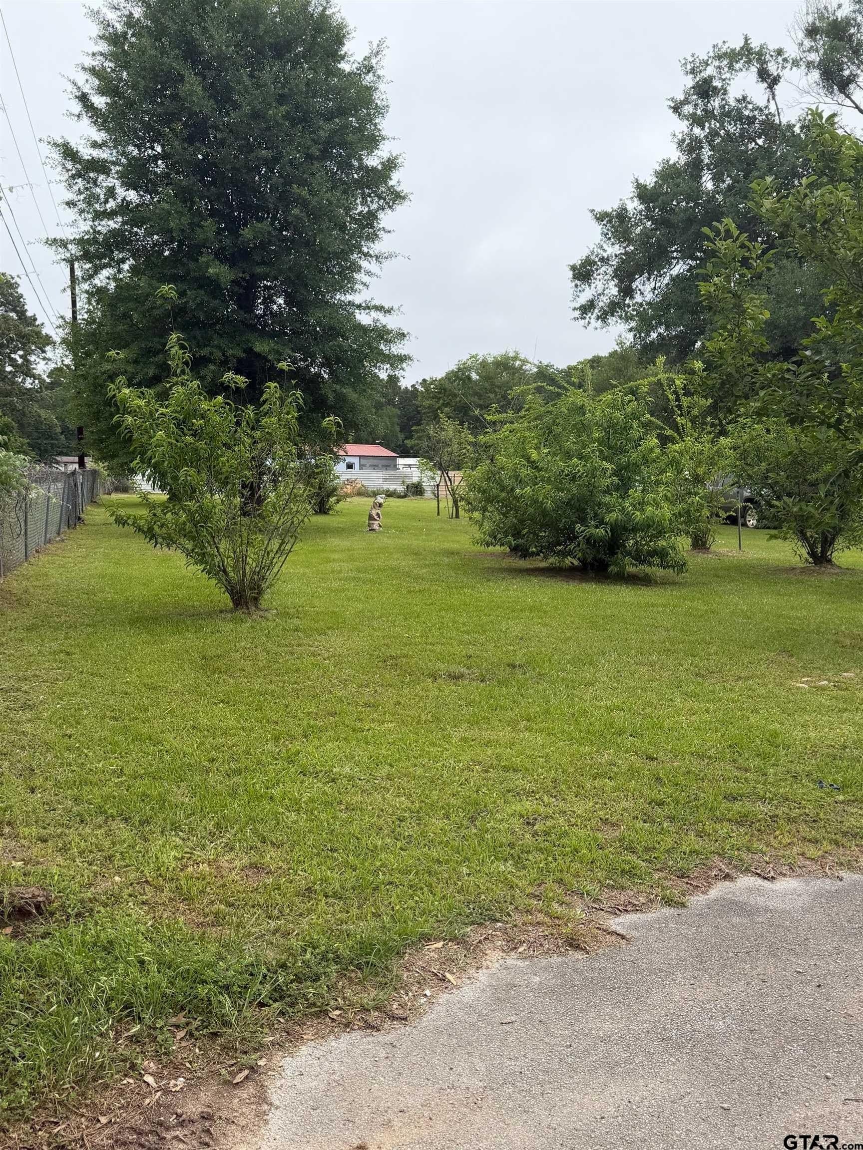 4 acres in Henderson County gallery image 3