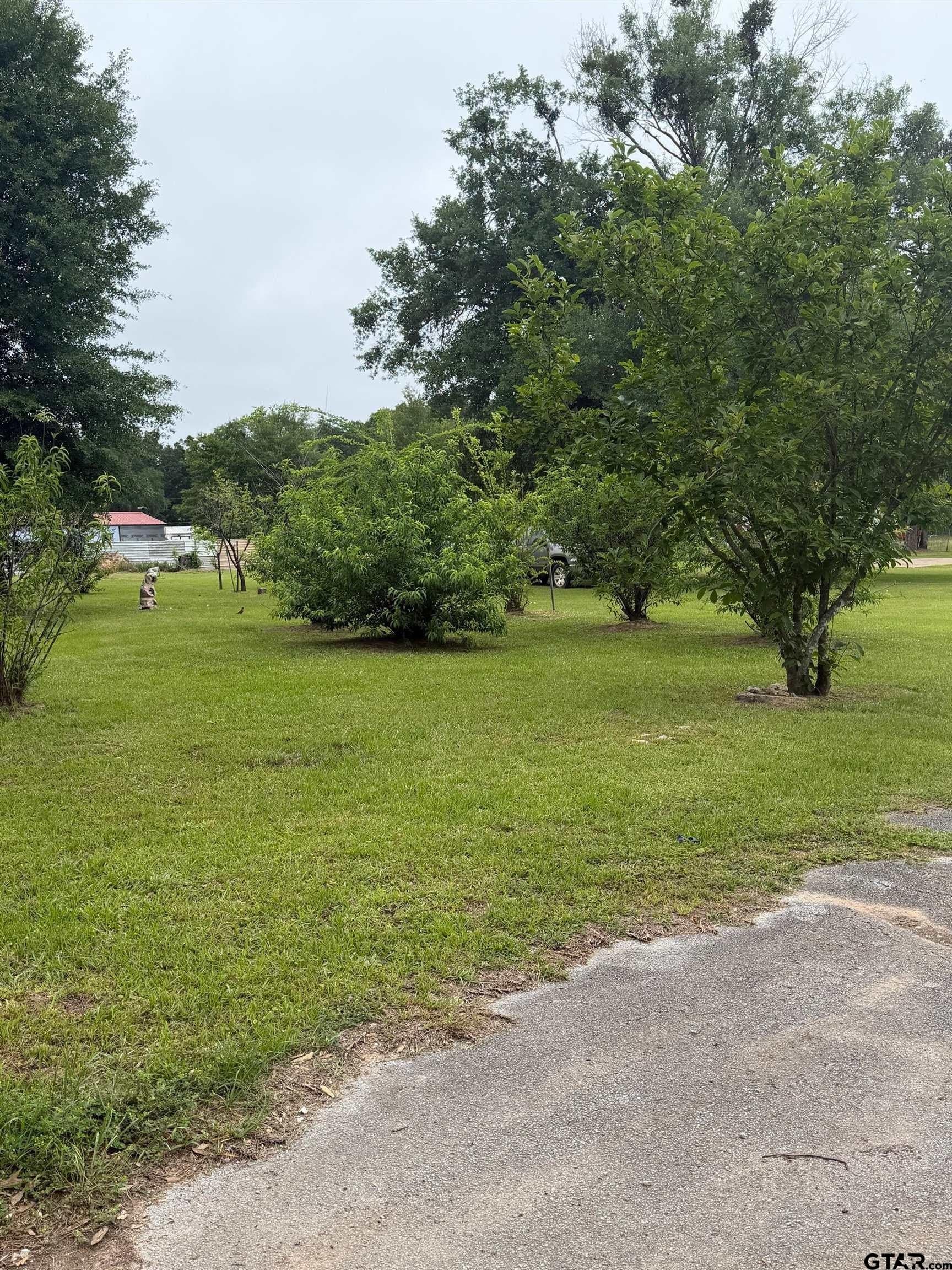 4 acres in Henderson County gallery image 2