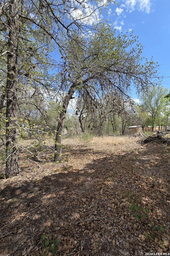 0.39 acres in Bexar County gallery image 4