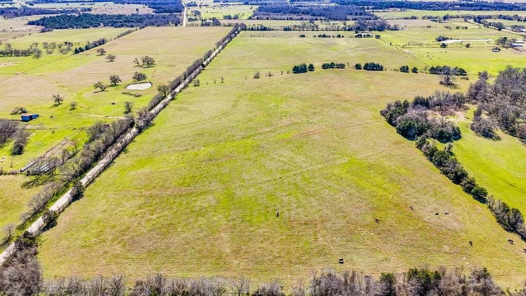 4 acres in Navarro County featured view