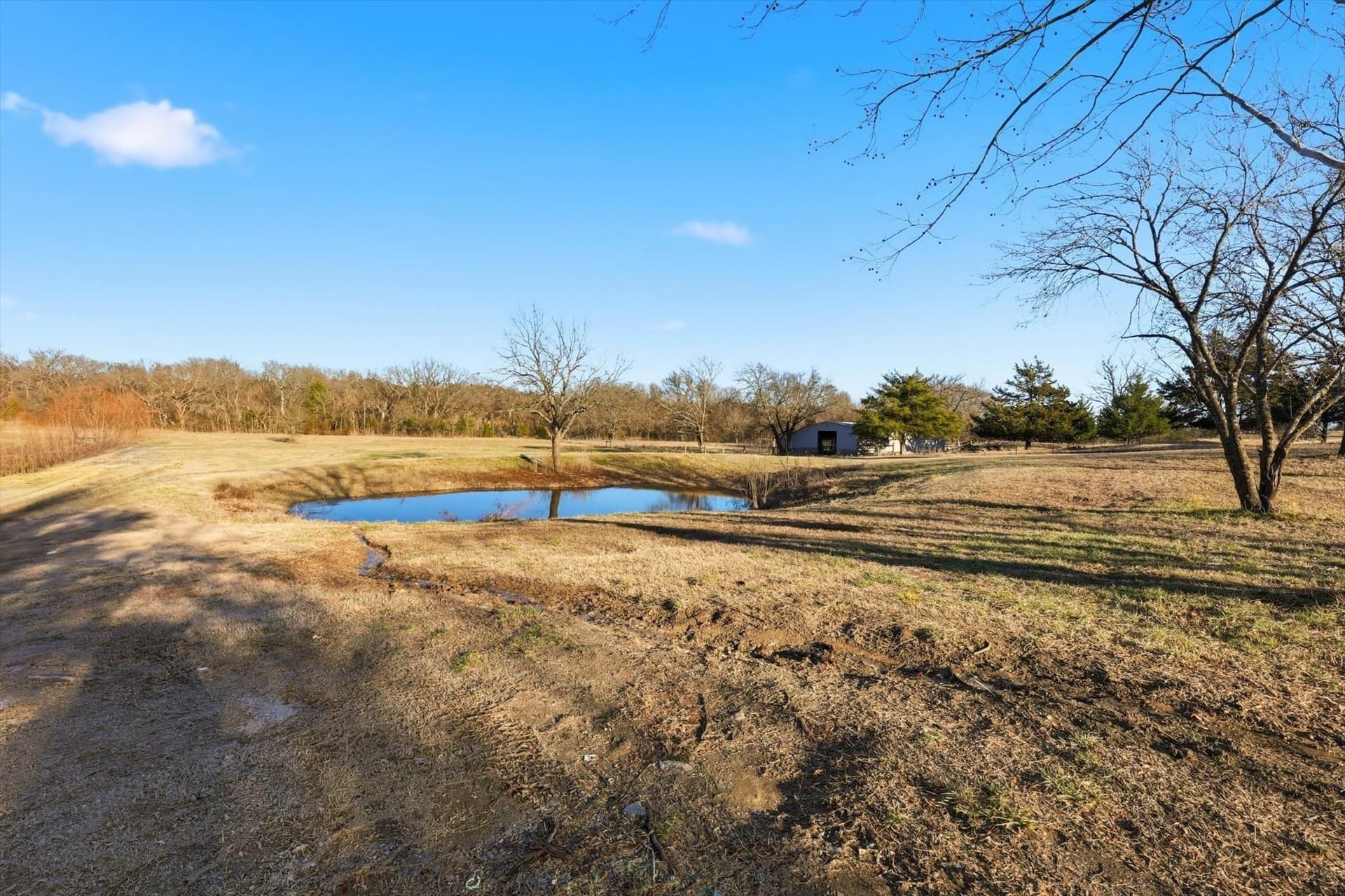 15.95 acres in Grayson County - photo 17