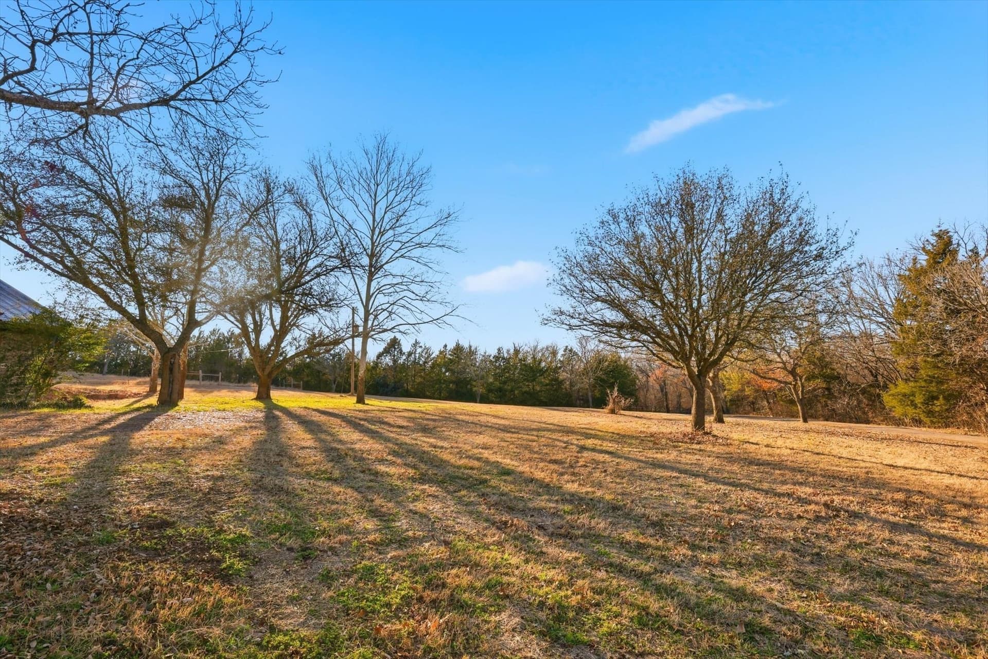 15.95 acres in Grayson County - photo 19