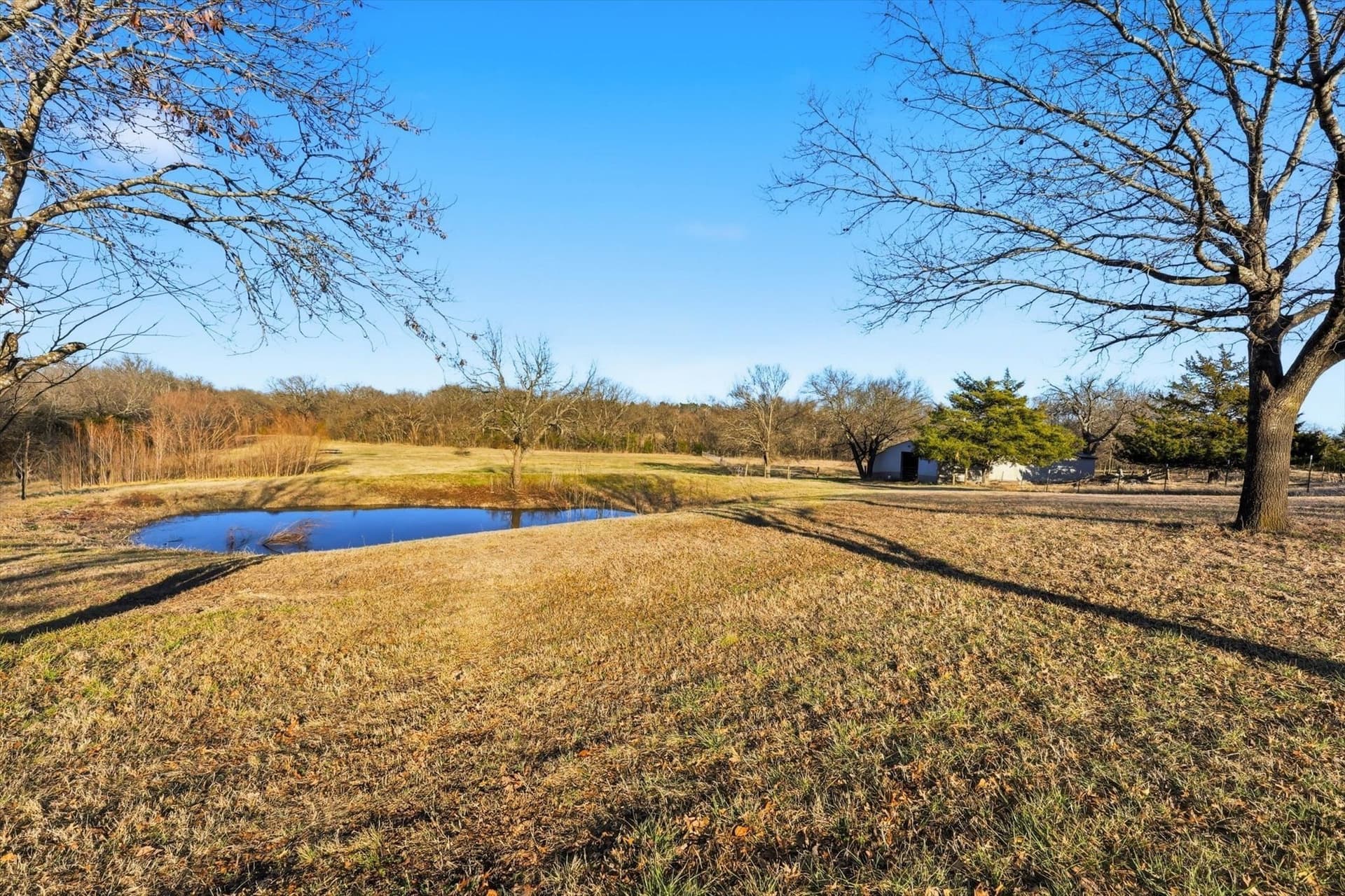 15.95 acres in Grayson County - photo 18