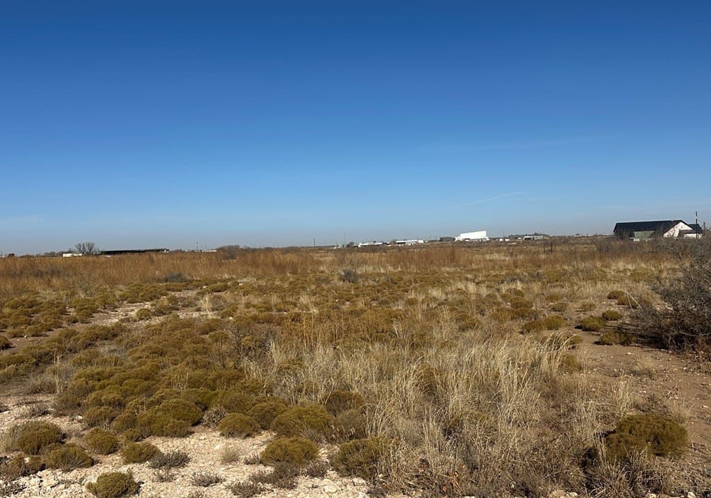 18 acres in Gaines County gallery image 2