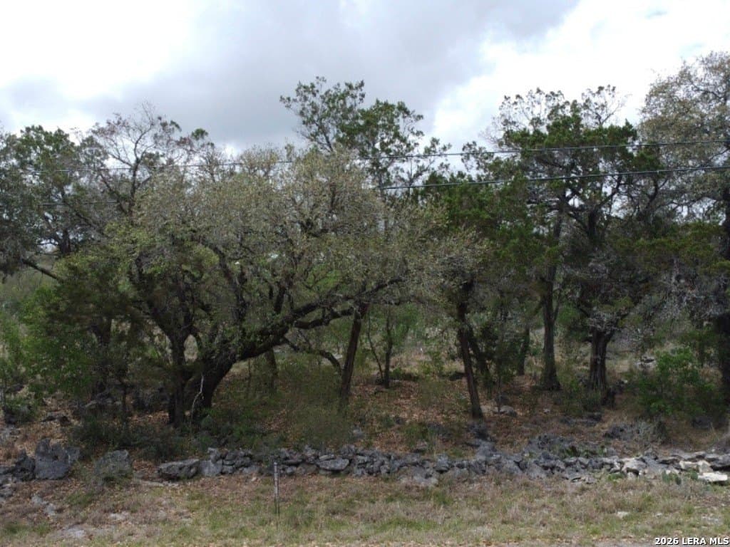 0.18 acres in Comal County gallery image 4