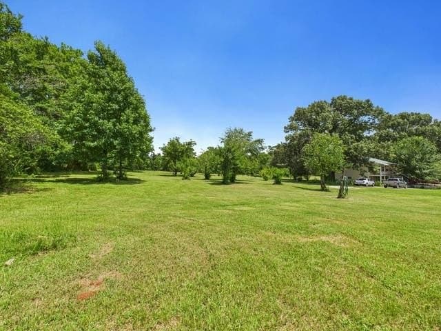 44.62 acres in Anderson County gallery image 4