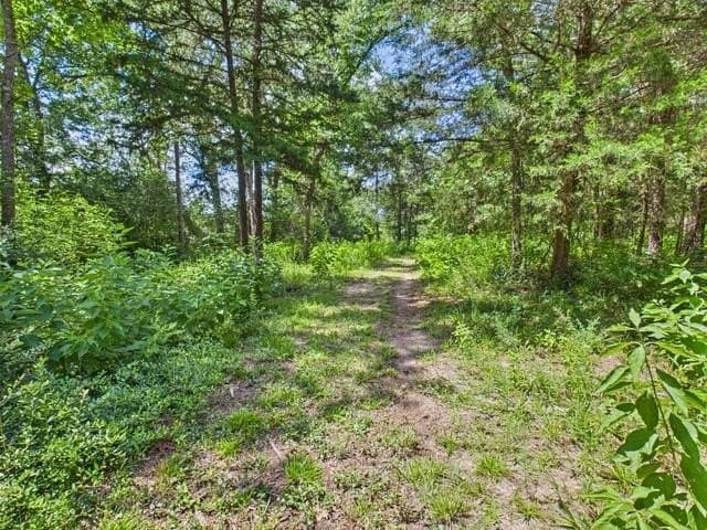 44.62 acres in Anderson County featured view