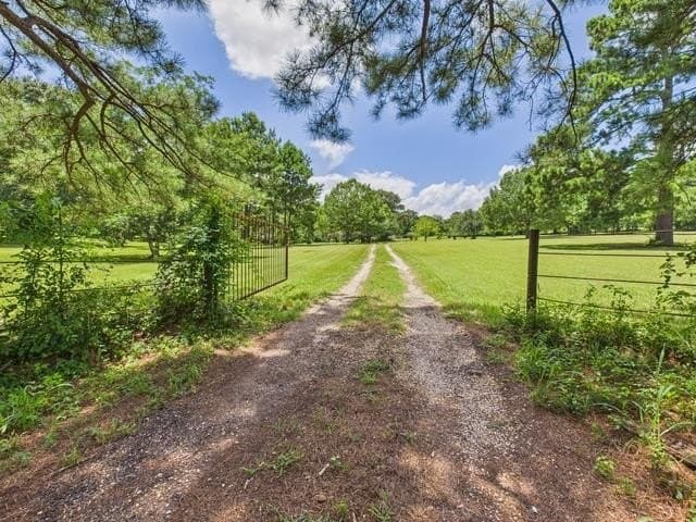 44.62 acres in Anderson County gallery image 3