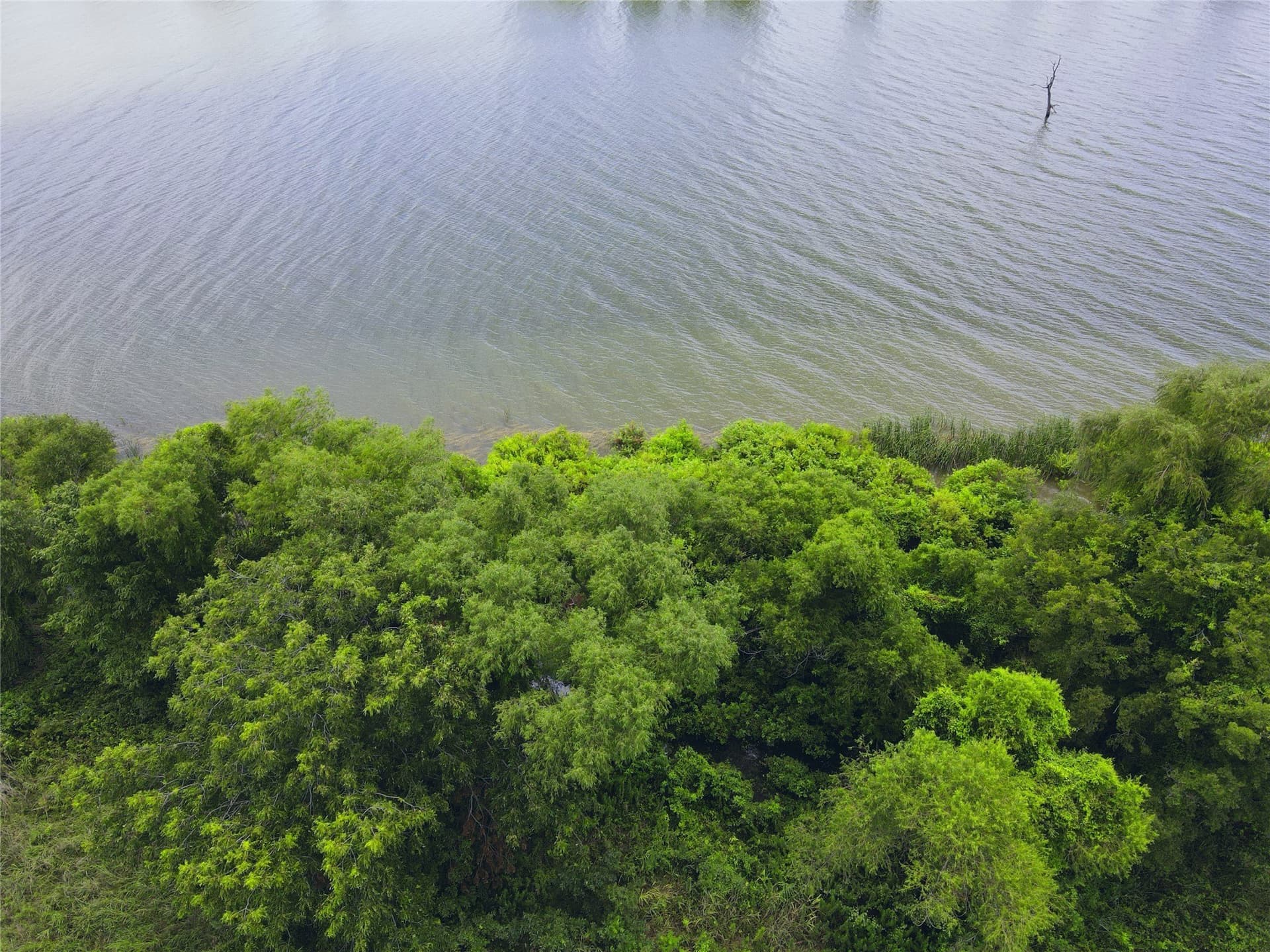 2.1 acres in Navarro County - photo 9