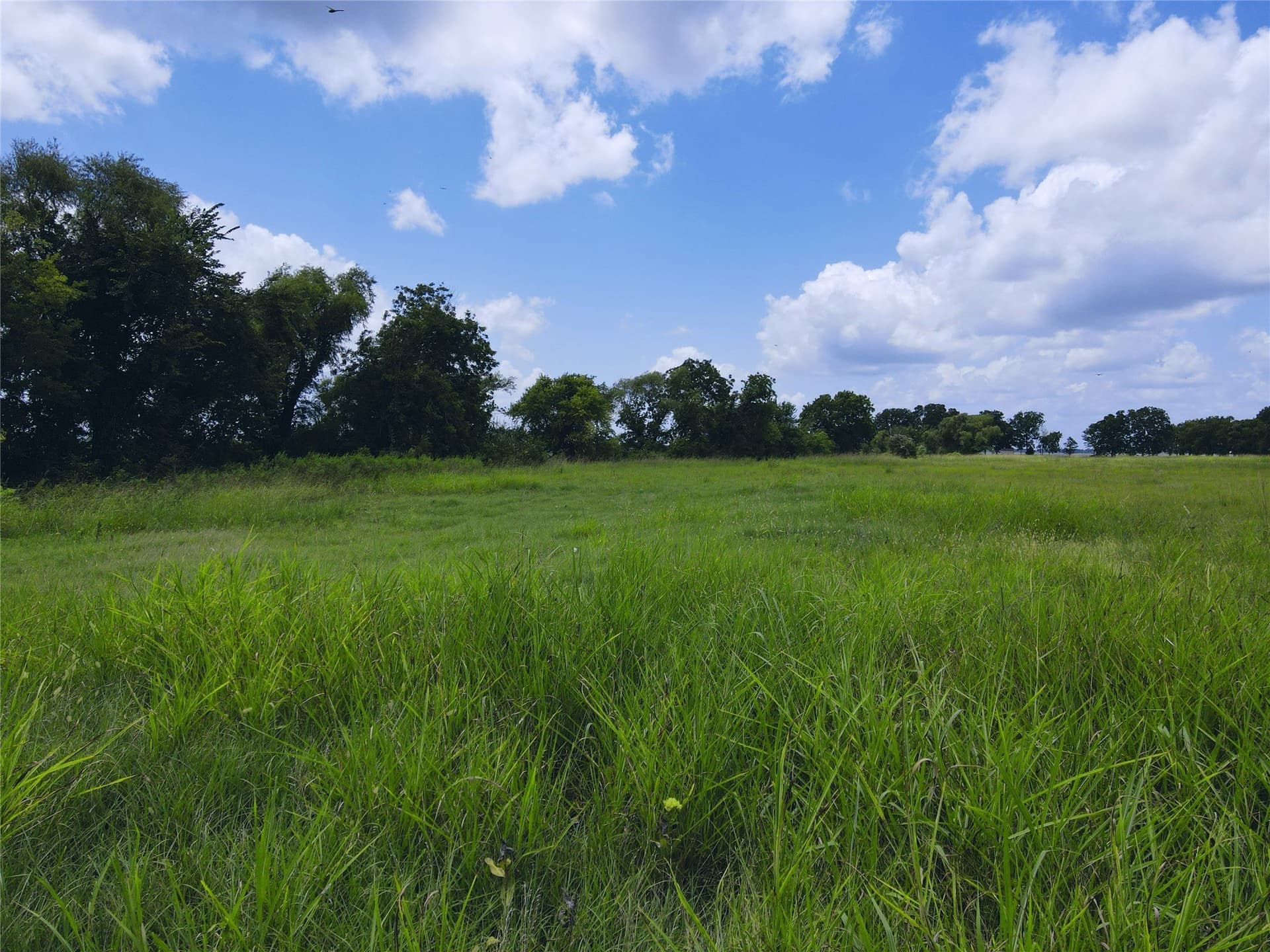2.1 acres in Navarro County - photo 15