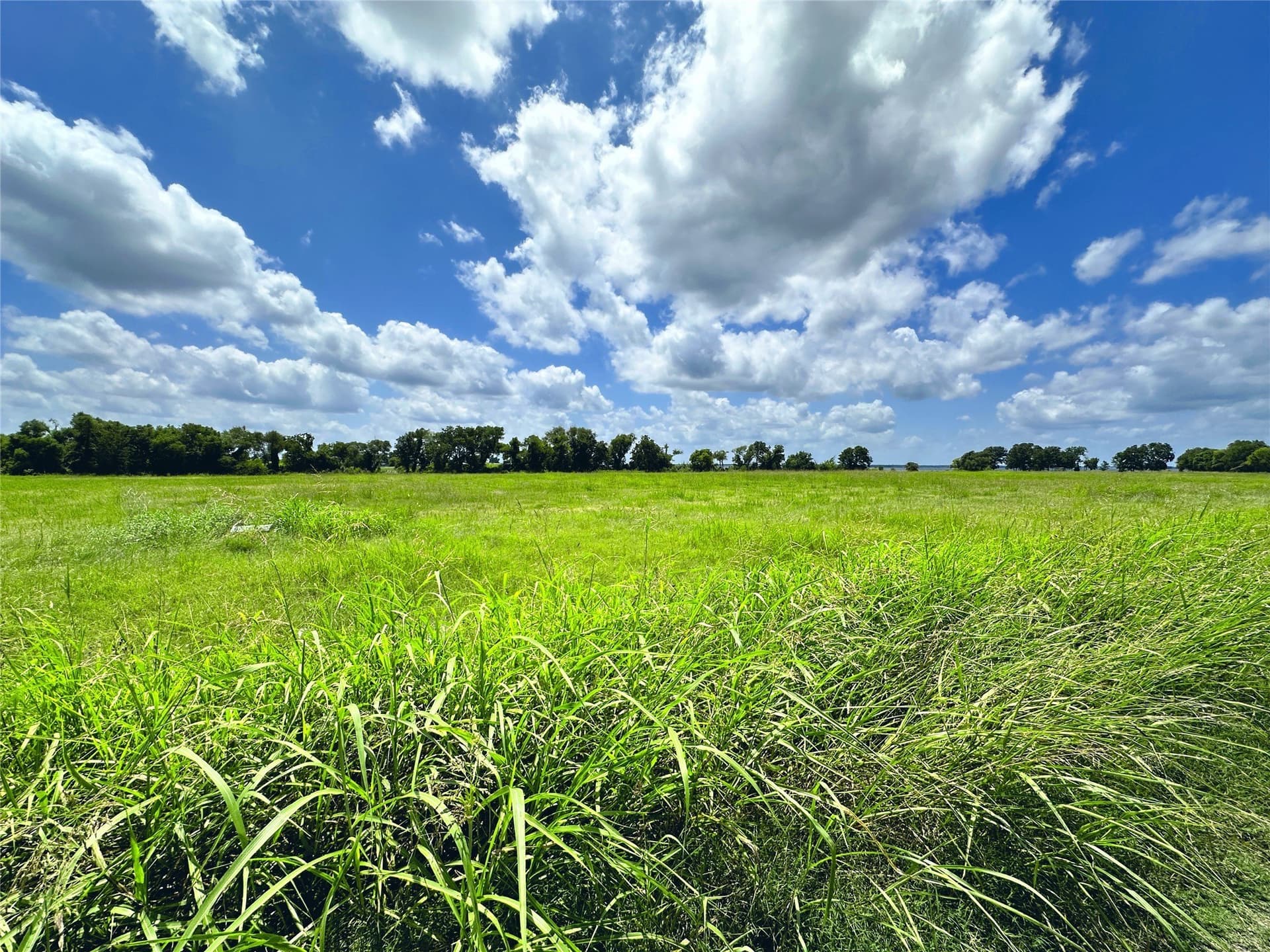 2.1 acres in Navarro County gallery image 3