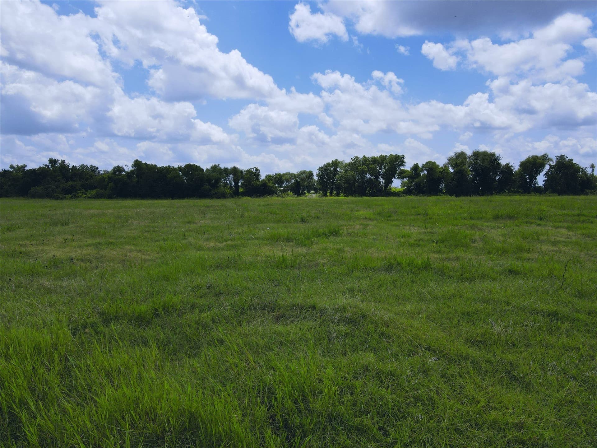 2.1 acres in Navarro County - photo 17