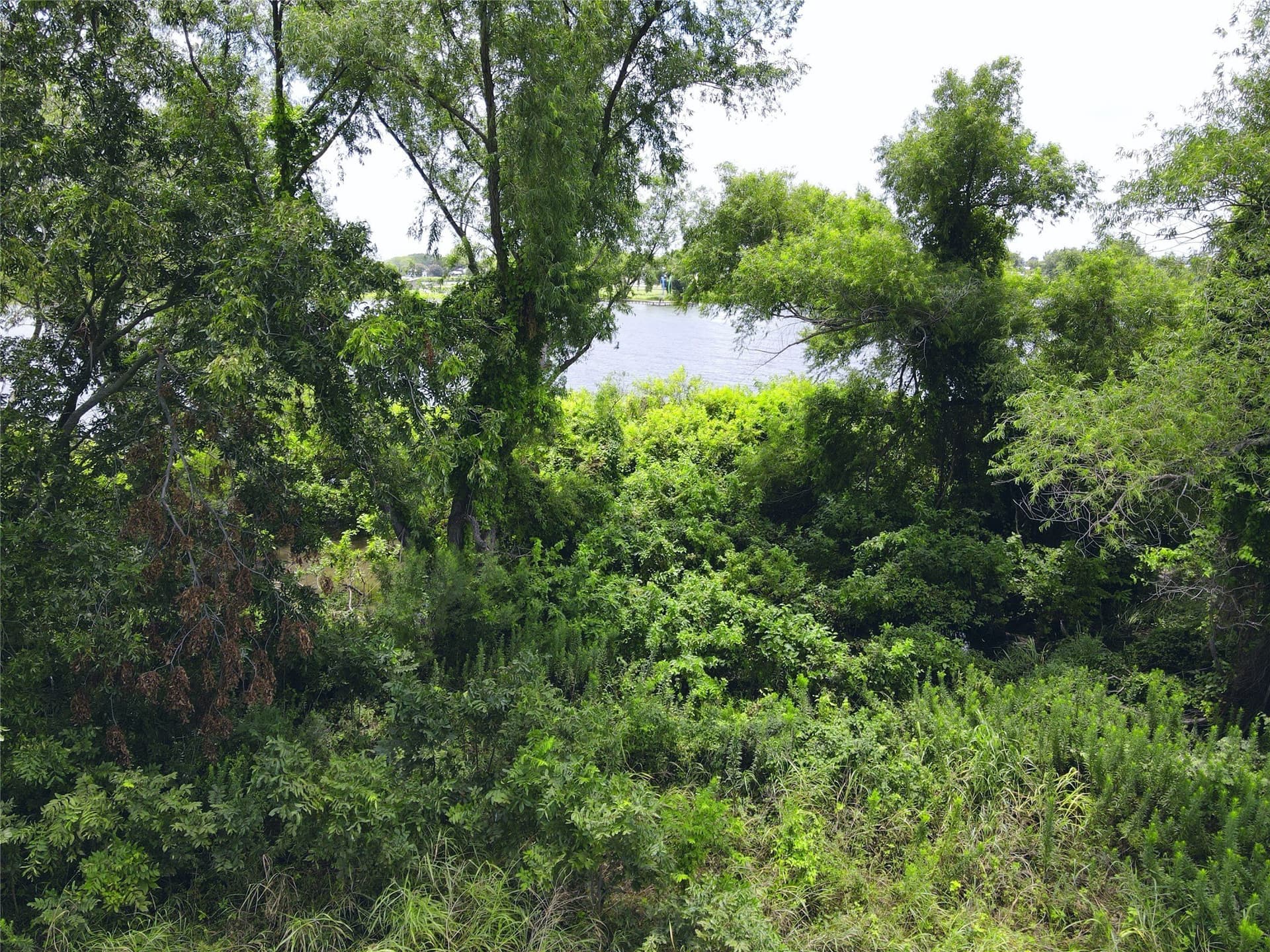 2.1 acres in Navarro County - photo 18