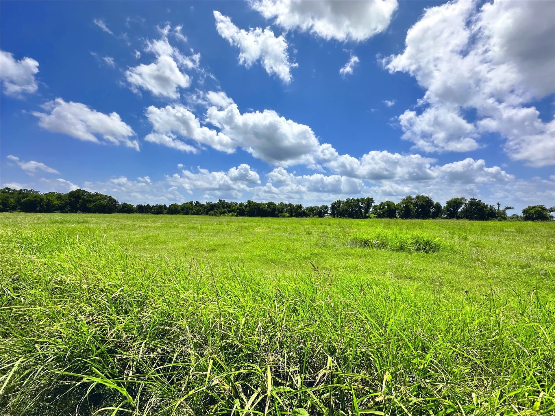 2.1 acres in Navarro County - photo 3