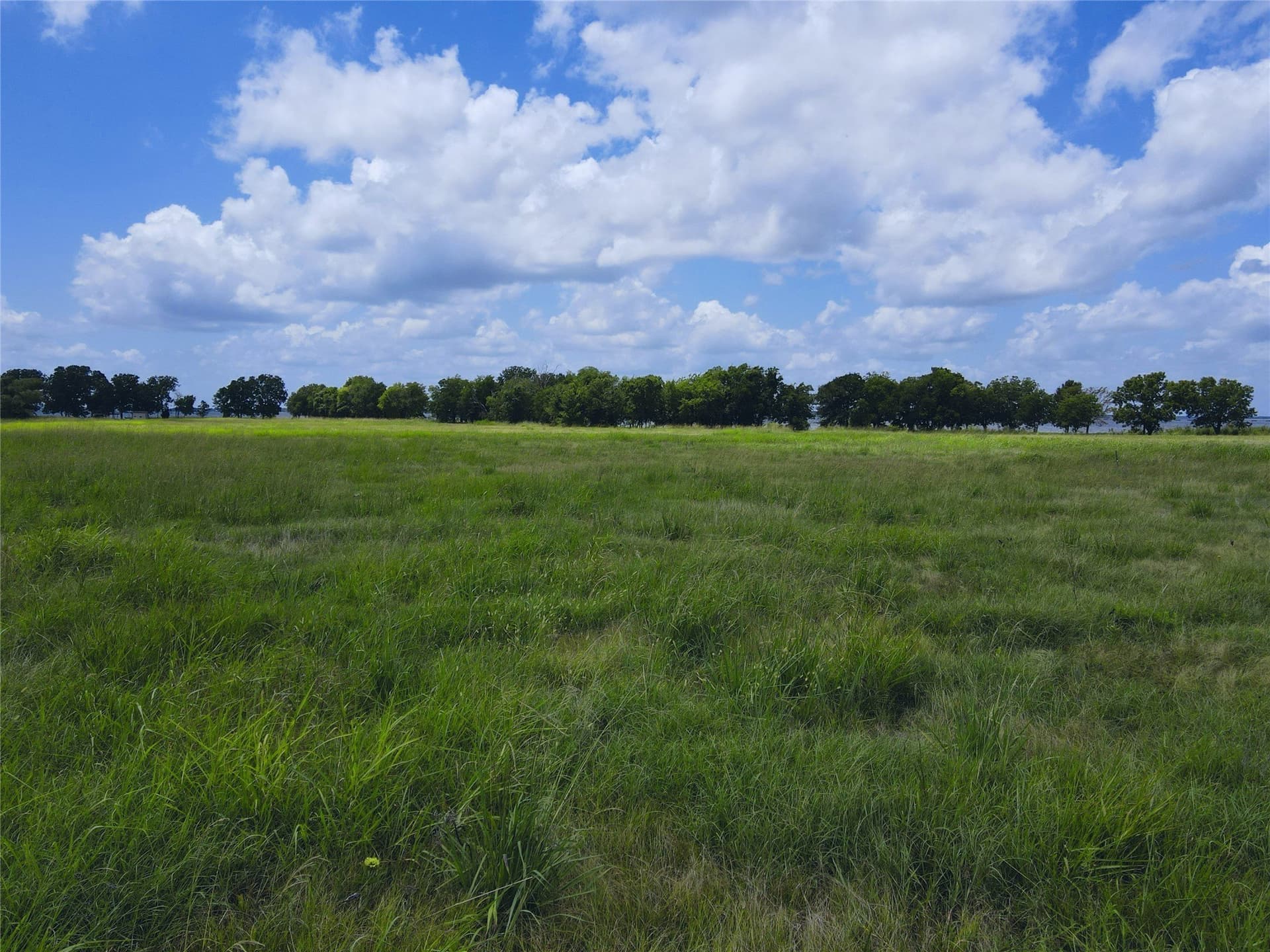 2.1 acres in Navarro County - photo 25