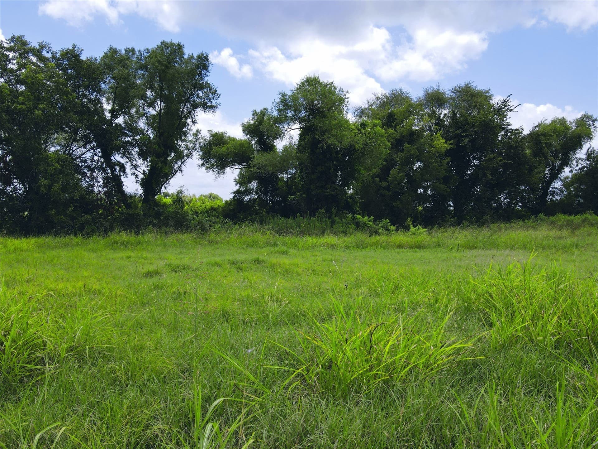 2.1 acres in Navarro County - photo 29