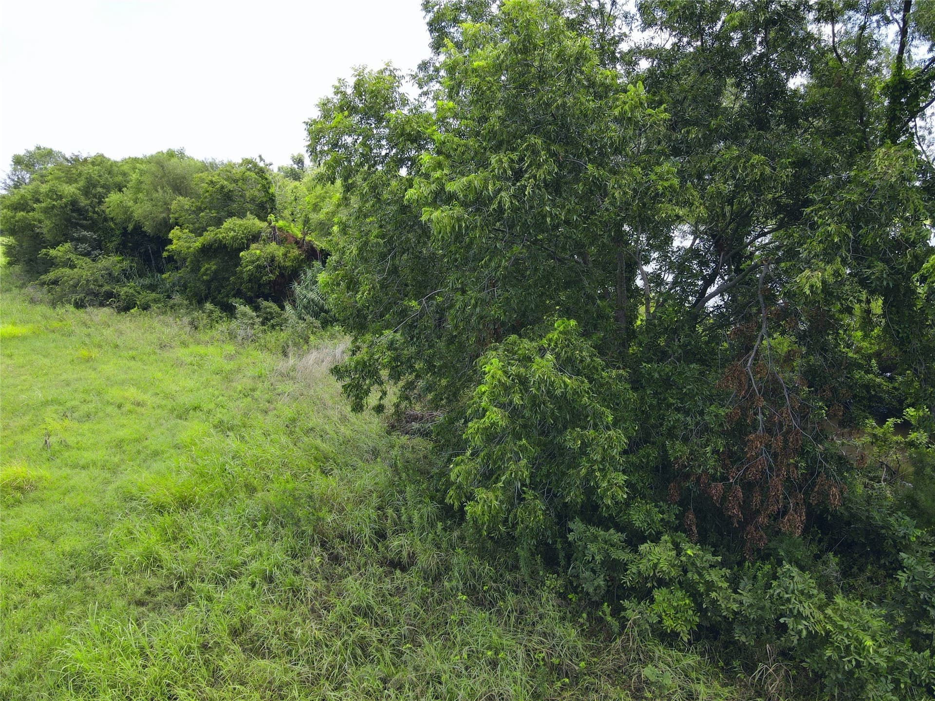 2.1 acres in Navarro County - photo 20