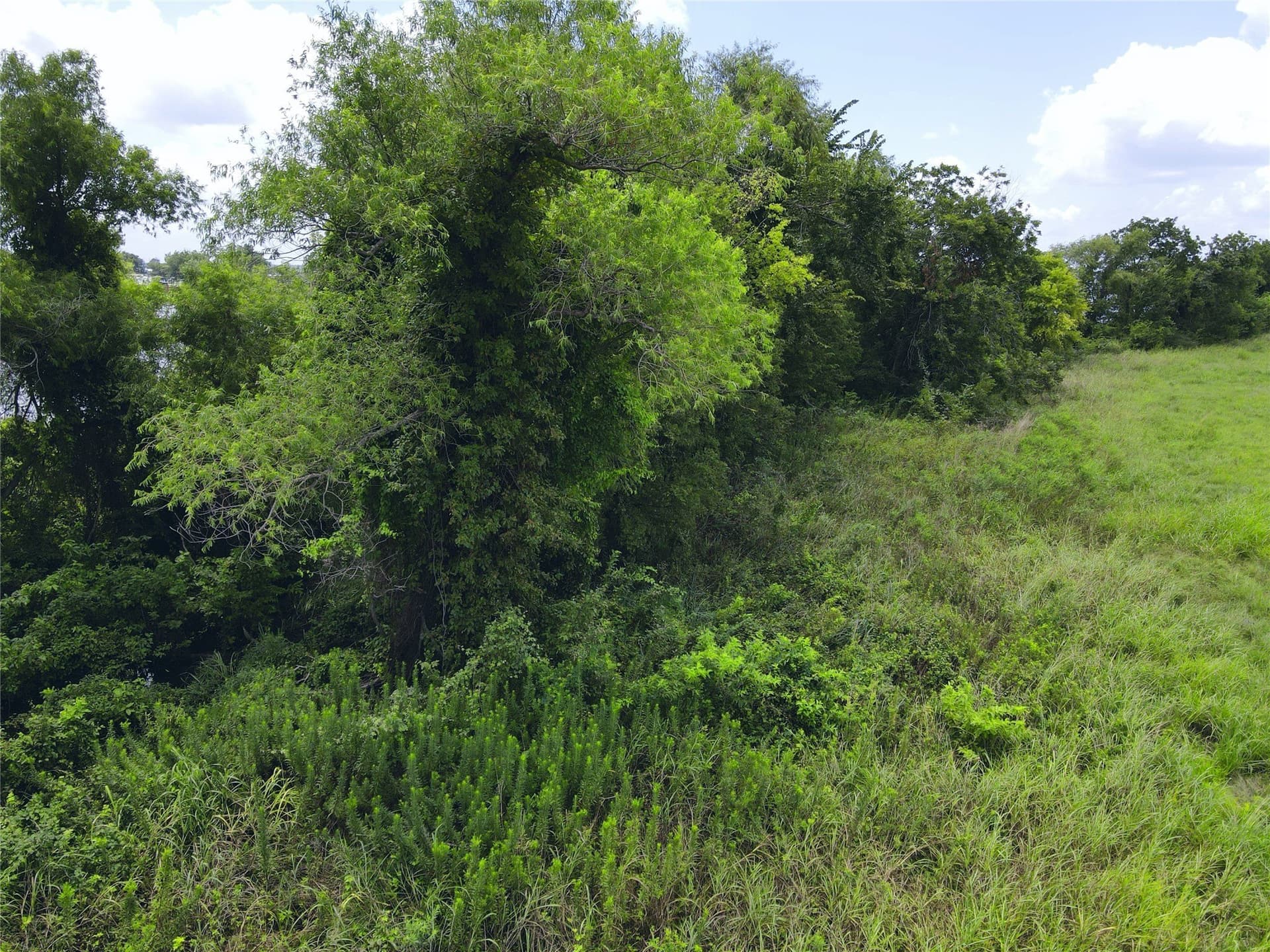 2.1 acres in Navarro County - photo 28