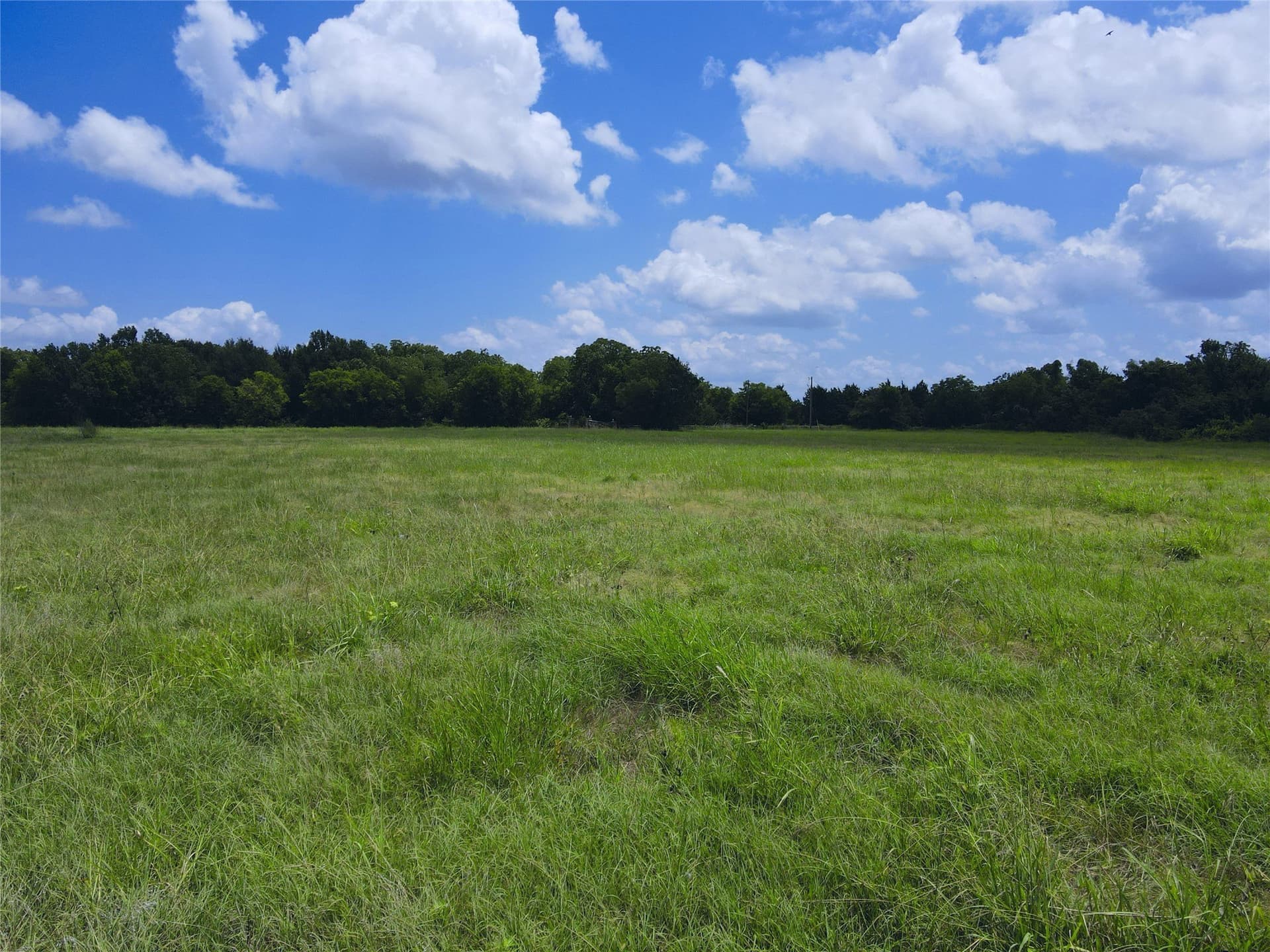 2.1 acres in Navarro County - photo 22