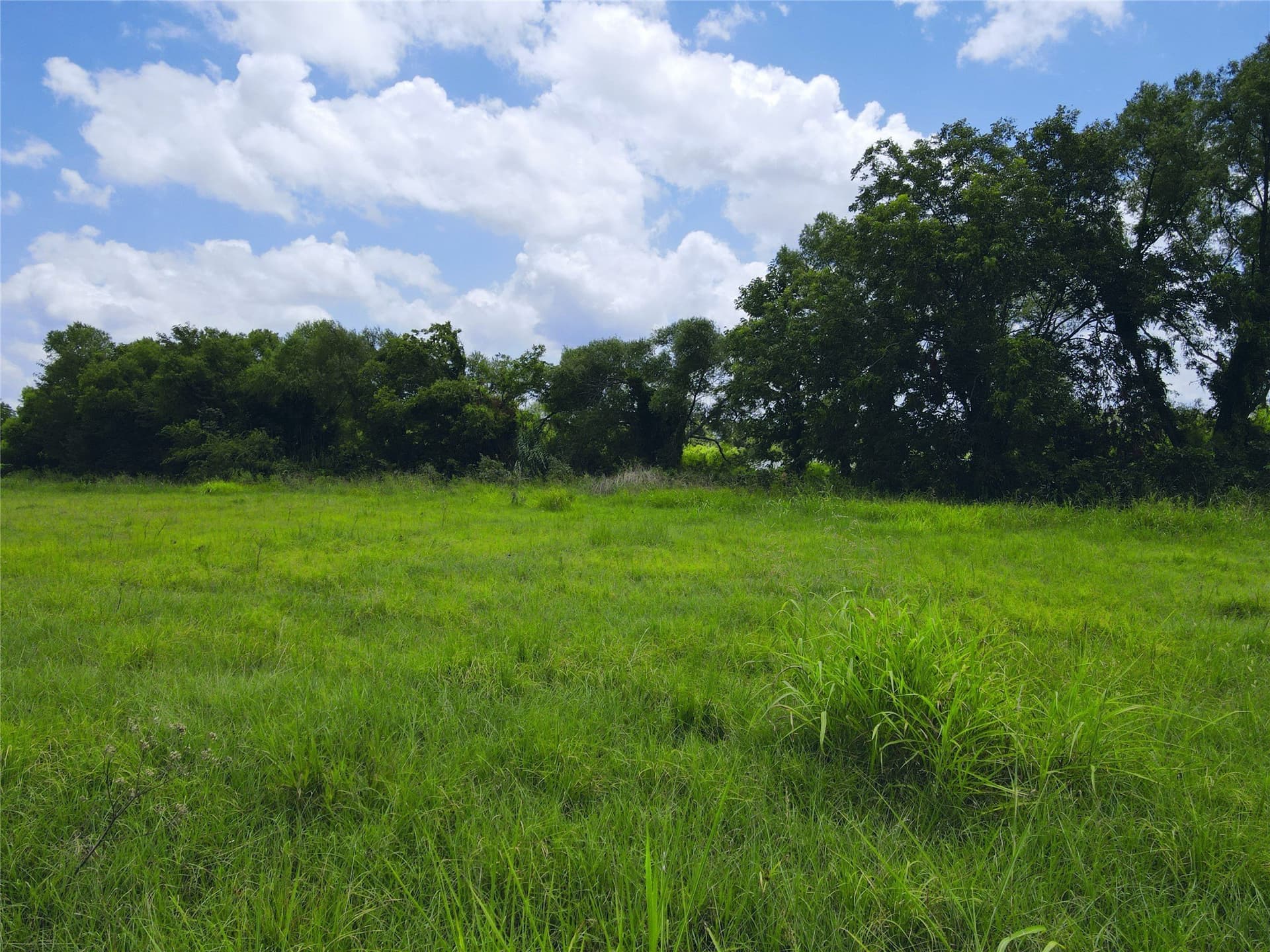 2.1 acres in Navarro County - photo 16