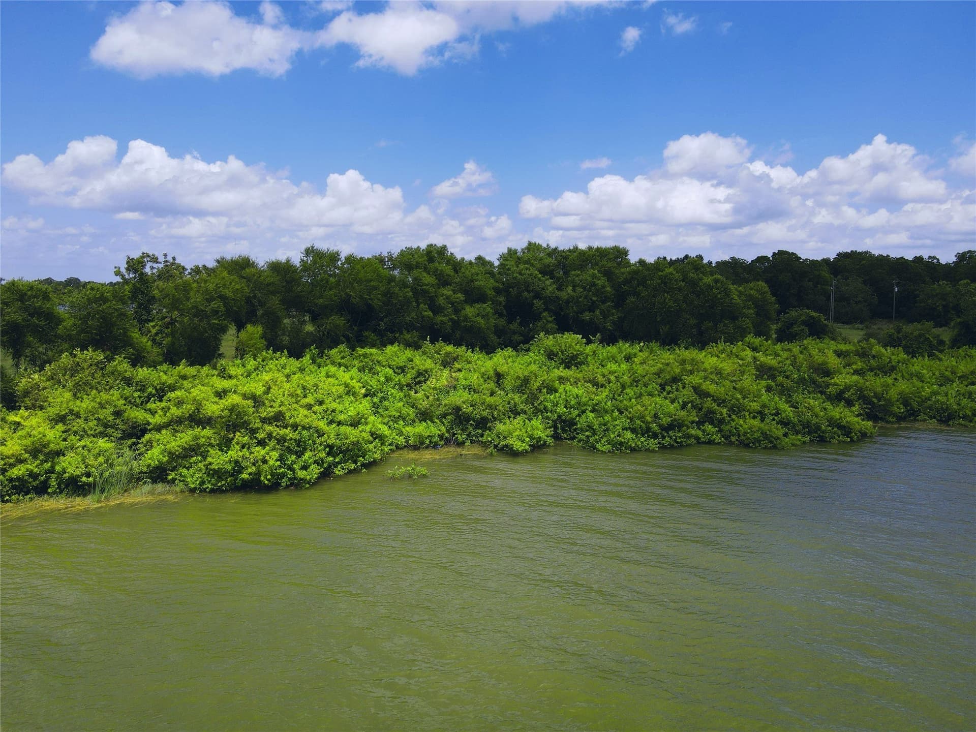 2.1 acres in Navarro County gallery image 4