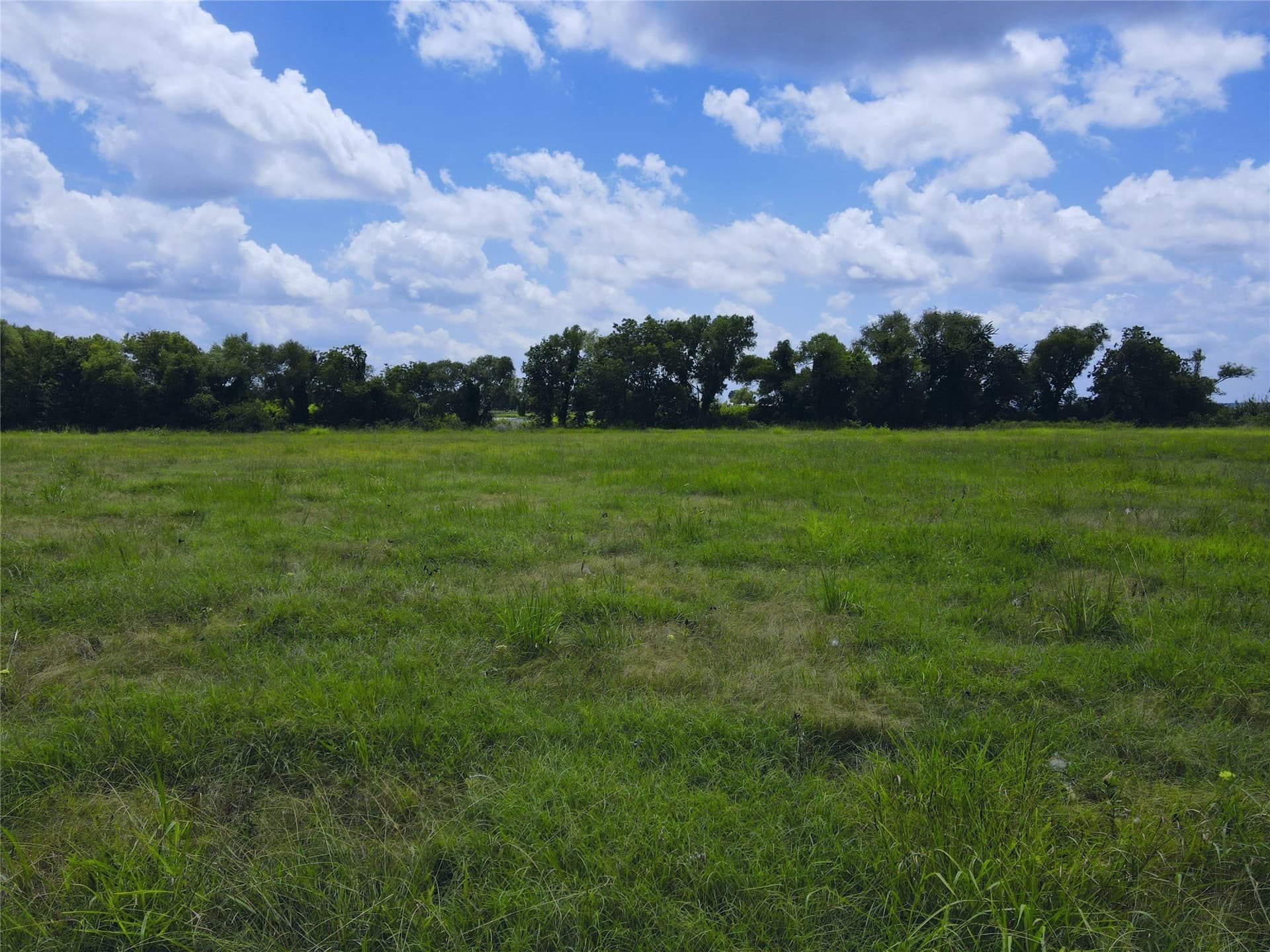 2.1 acres in Navarro County - photo 27