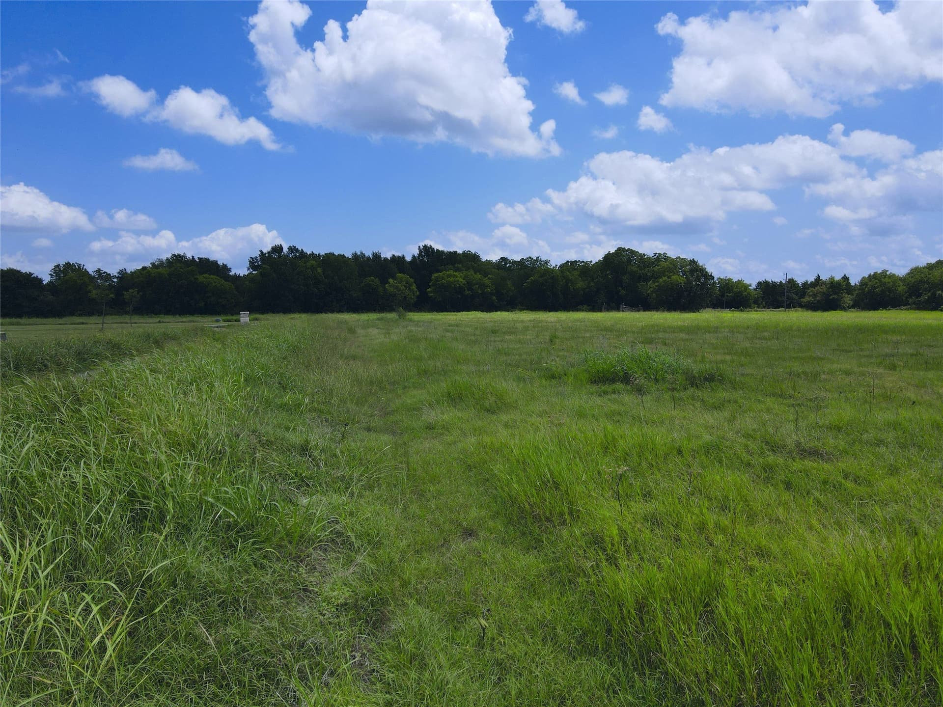 2.1 acres in Navarro County - photo 26
