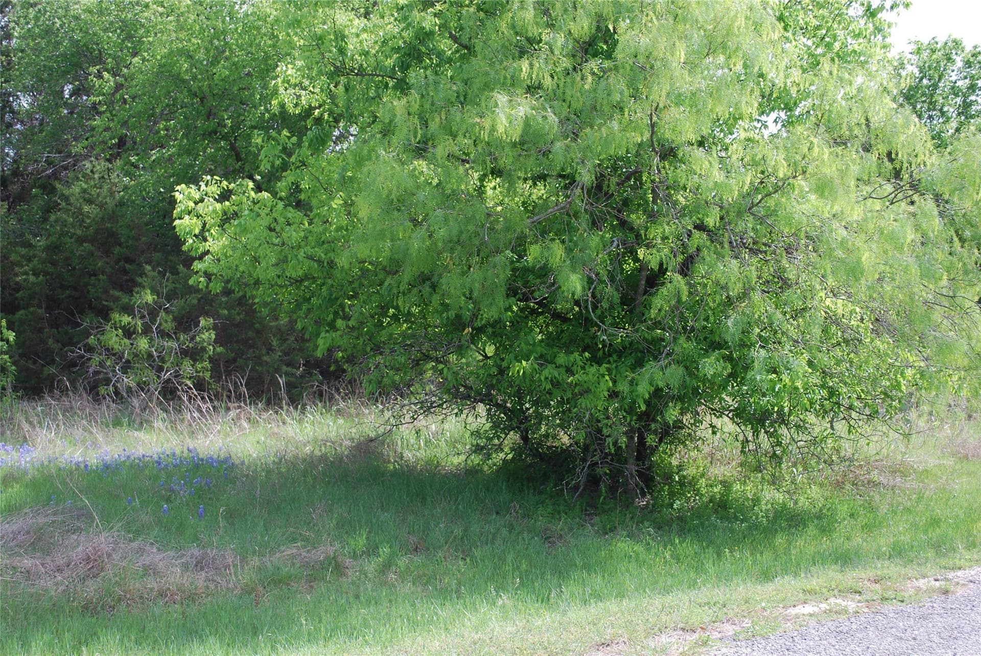 0.14 acres in Hill County gallery image 3