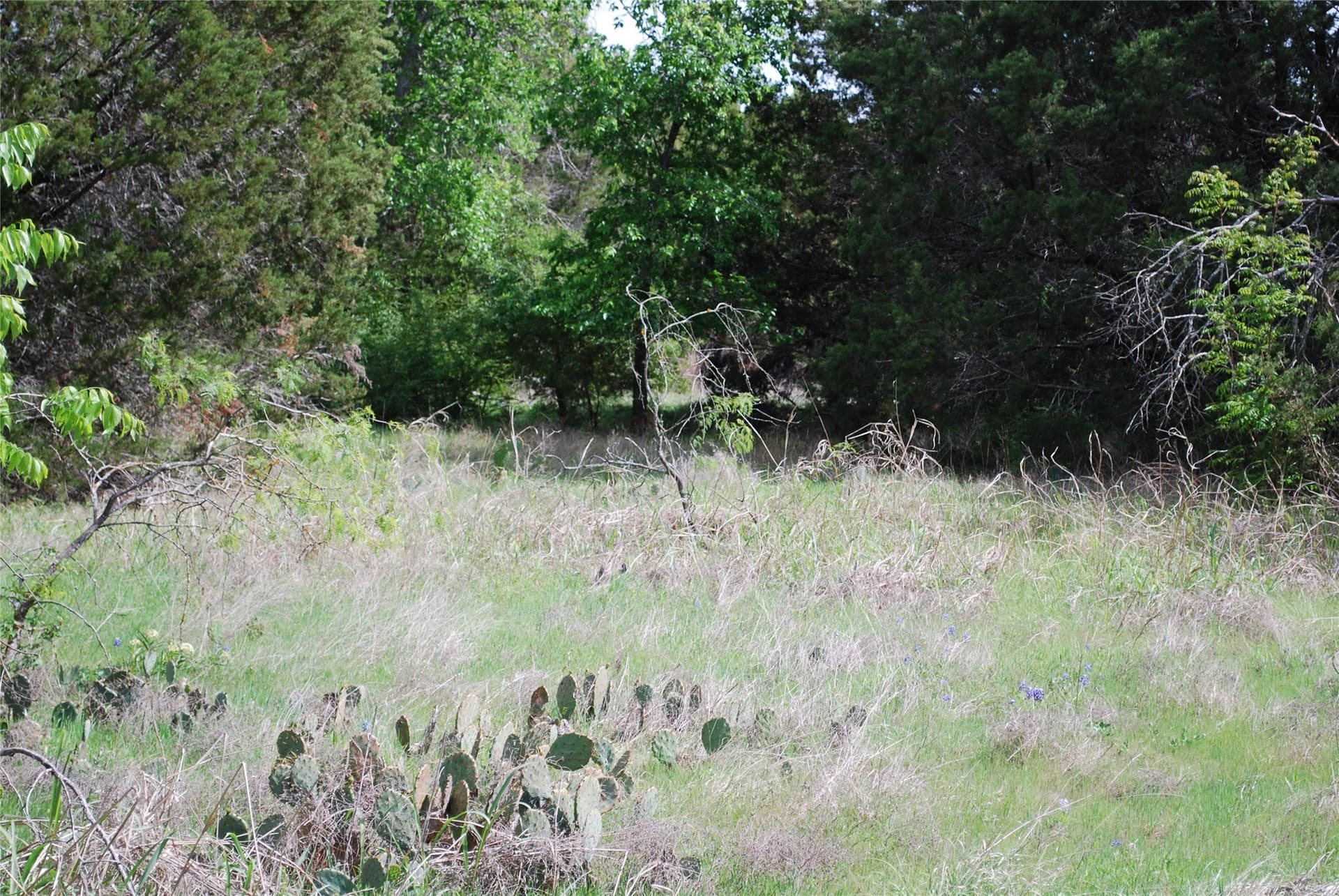 0.14 acres in Hill County gallery image 4