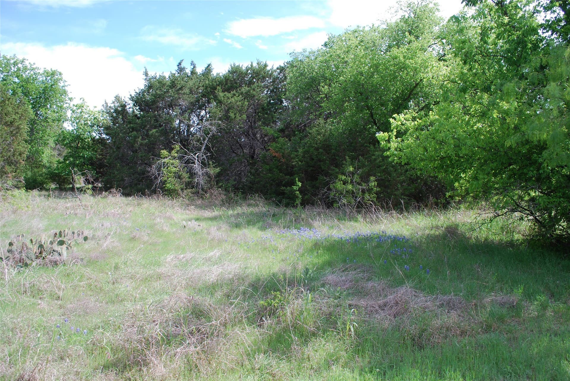 0.14 acres in Hill County - photo 6