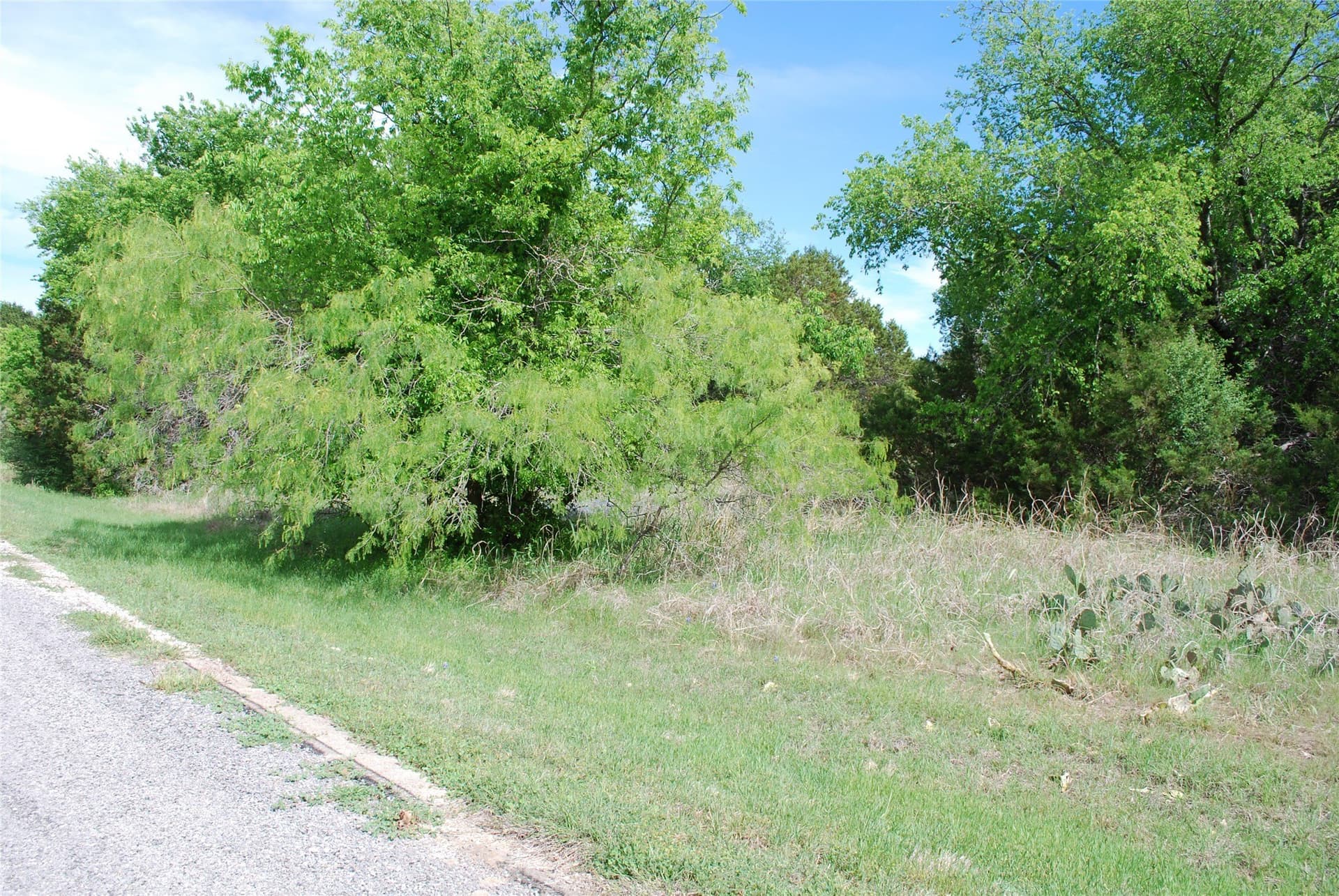 0.14 acres in Hill County - photo 7