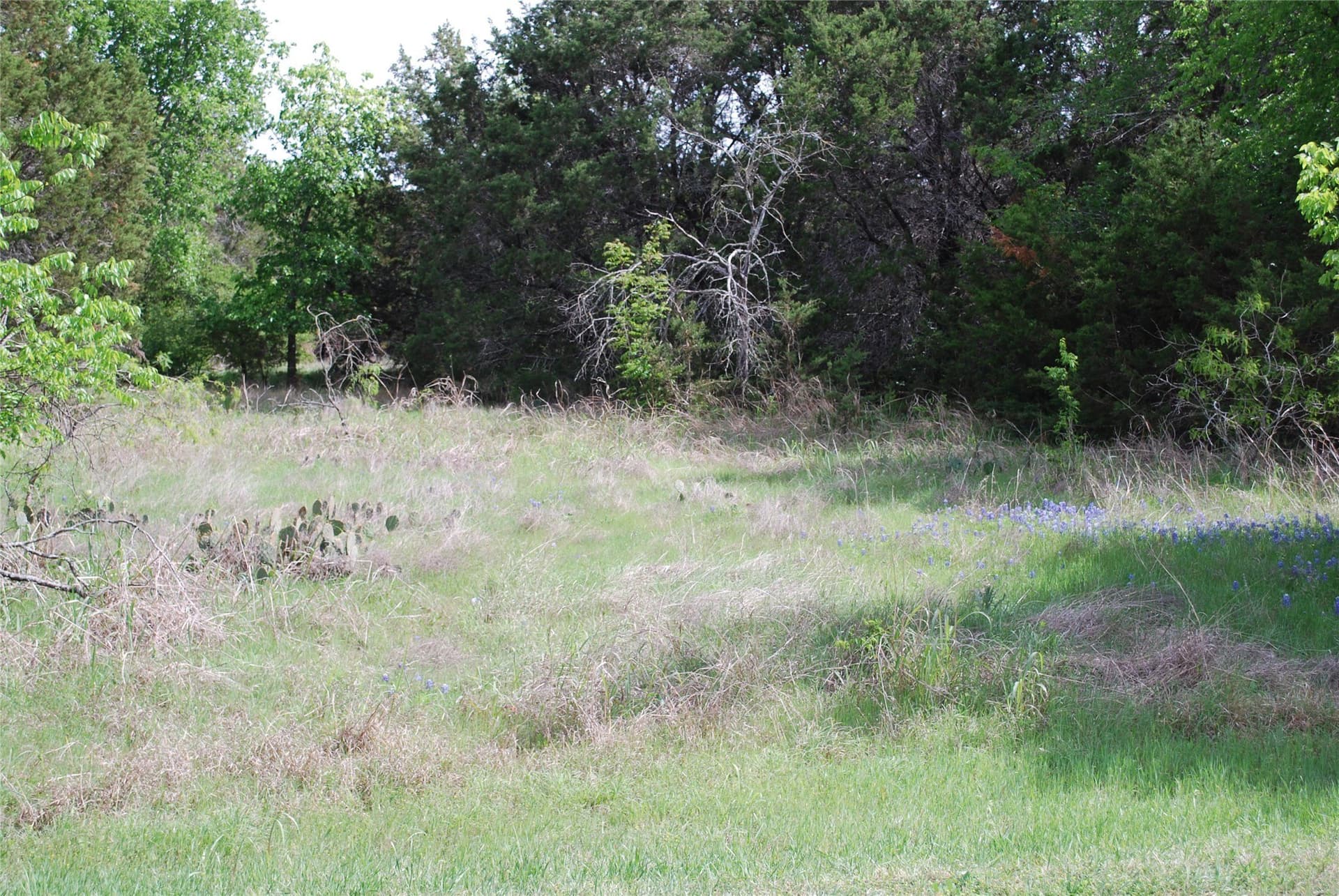 0.14 acres in Hill County gallery image 2
