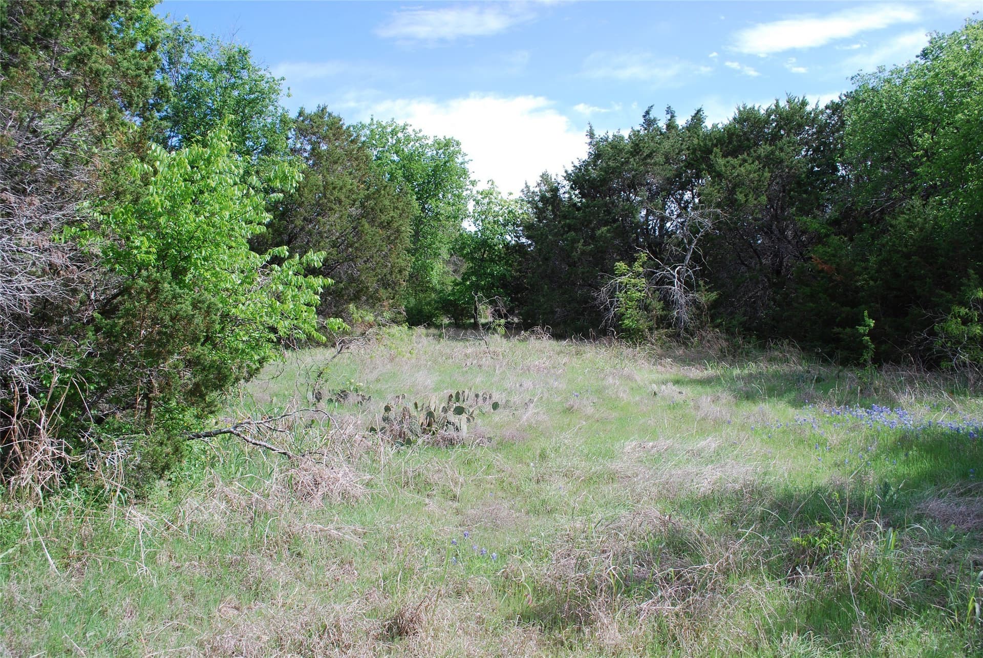 0.14 acres in Hill County featured view