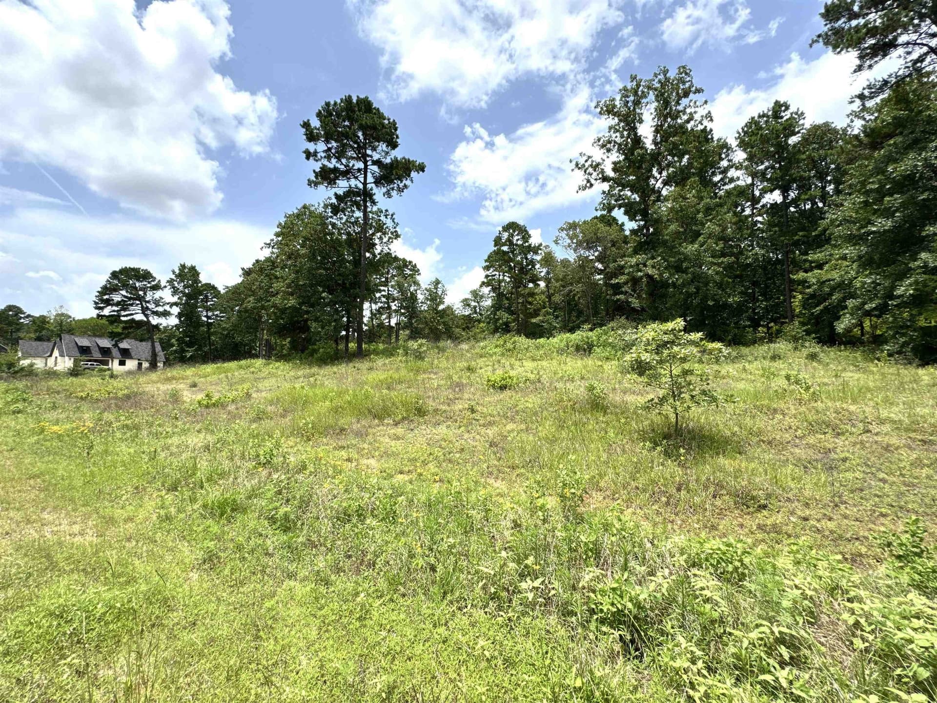 1.19 acres in Wood County - photo 4