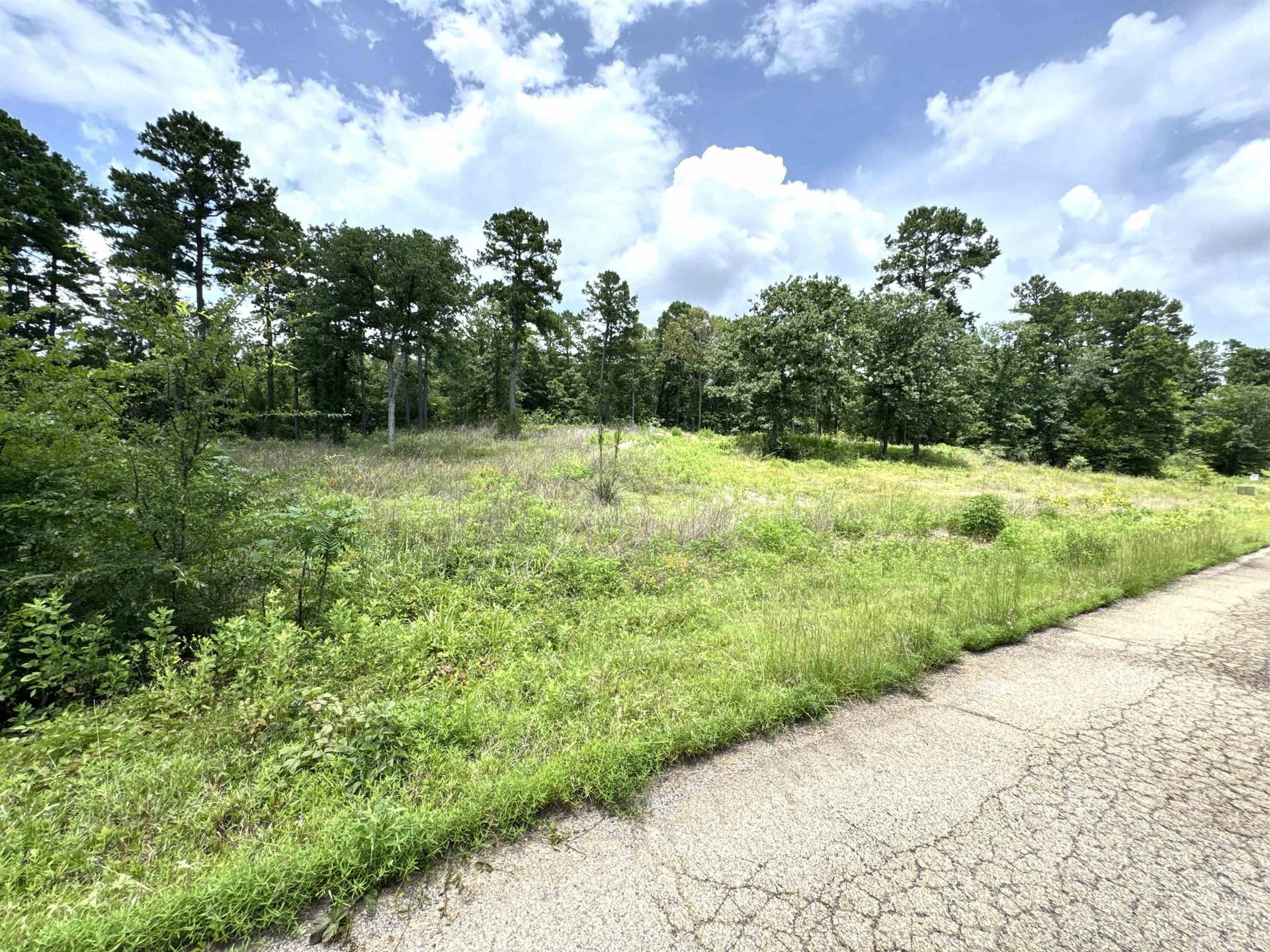 1.19 acres in Wood County - photo 2