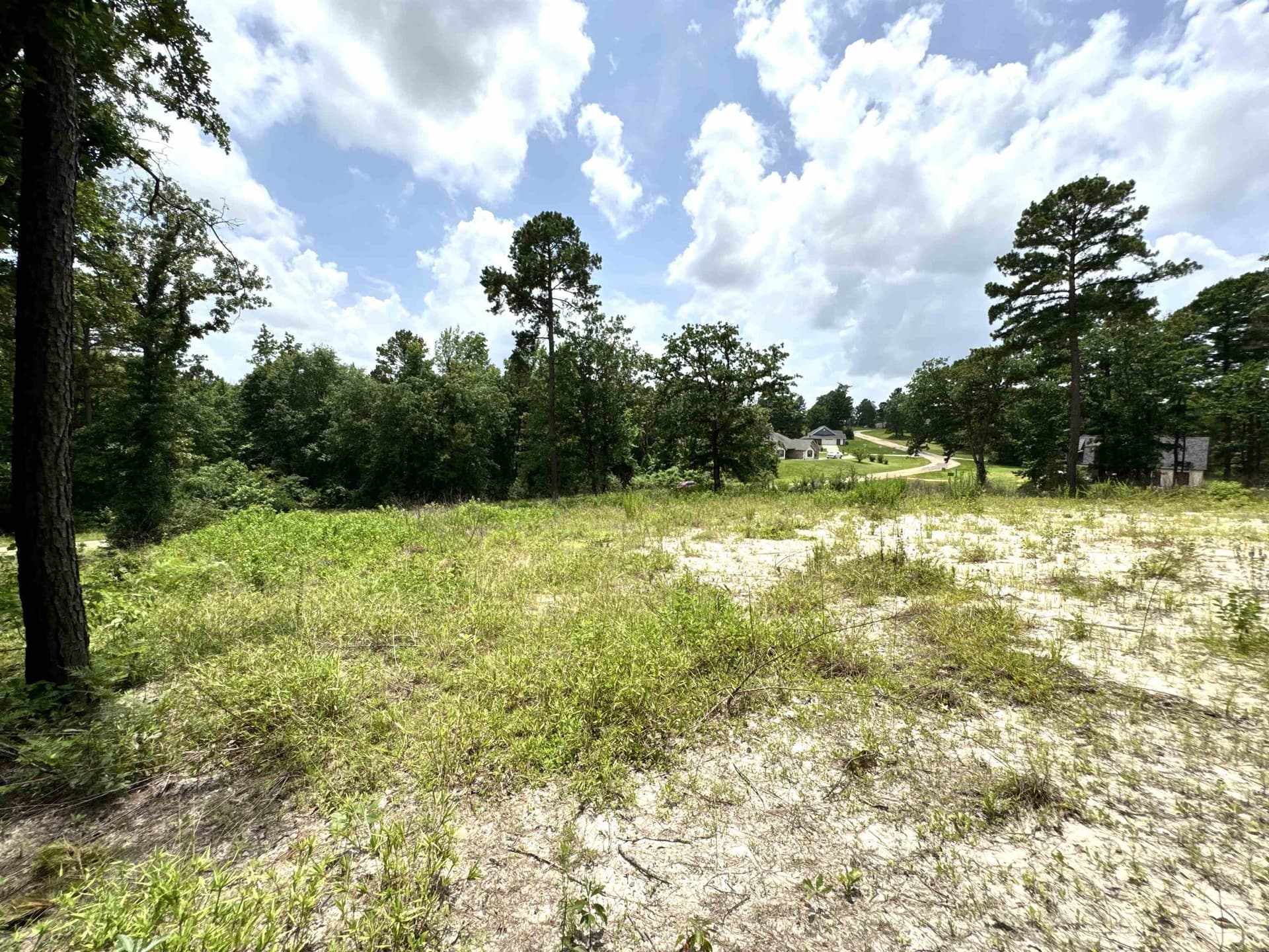1.19 acres in Wood County - photo 8